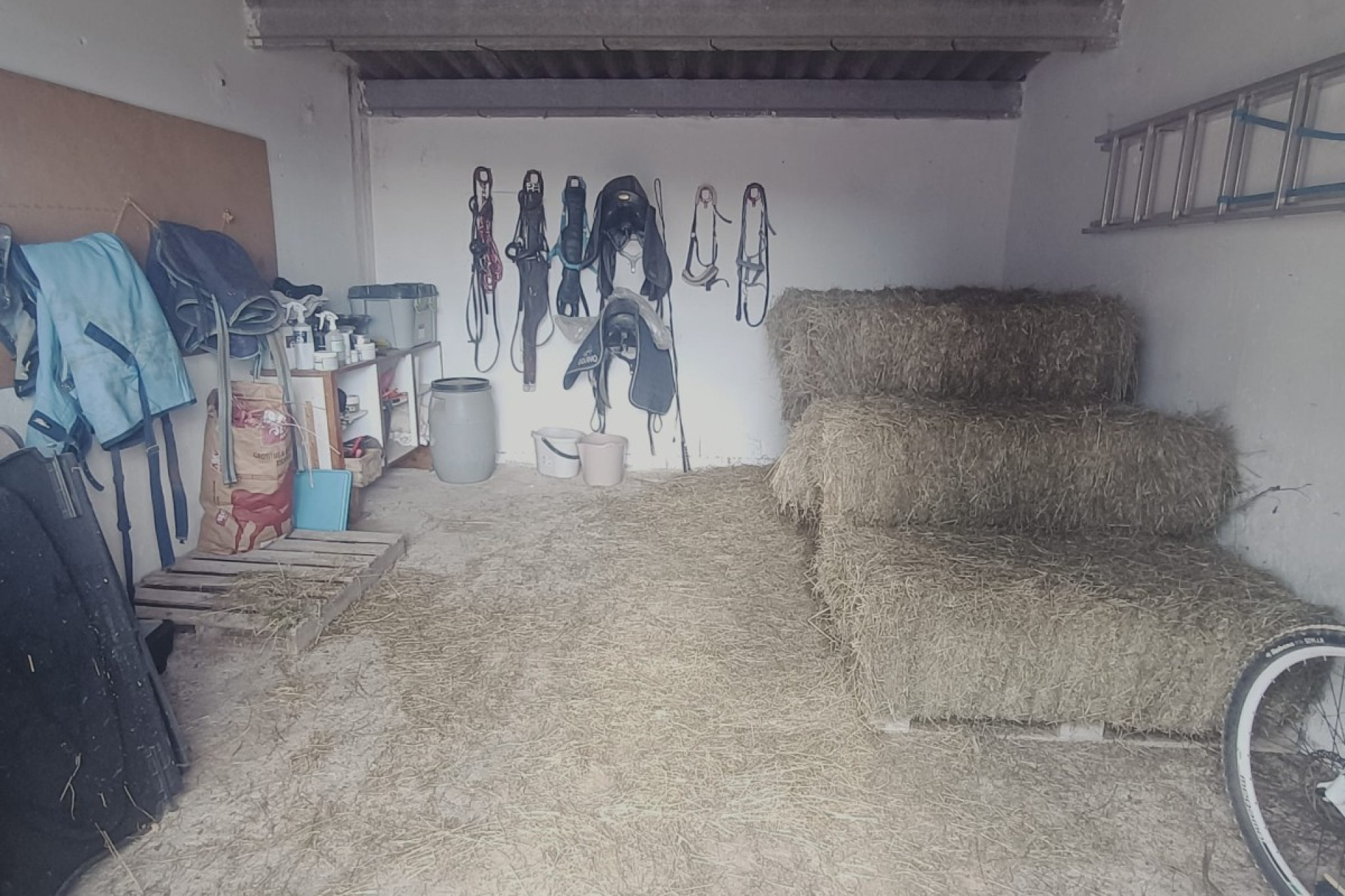 Resale - Equestrian property -
Monovar