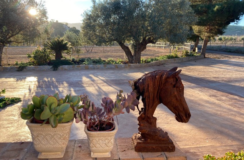 Resale - Equestrian property -
Murcia