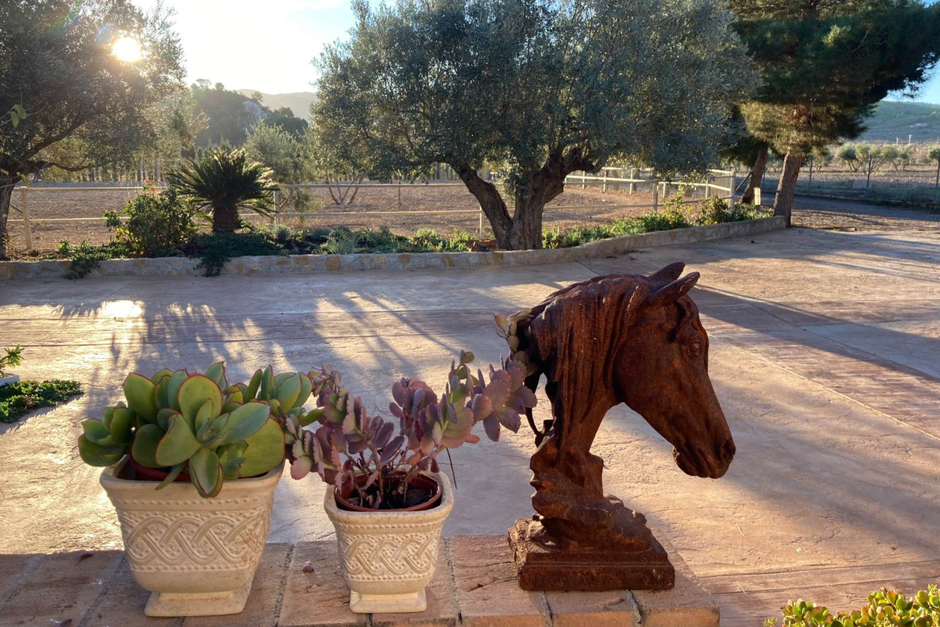 Resale - Equestrian property -
Murcia