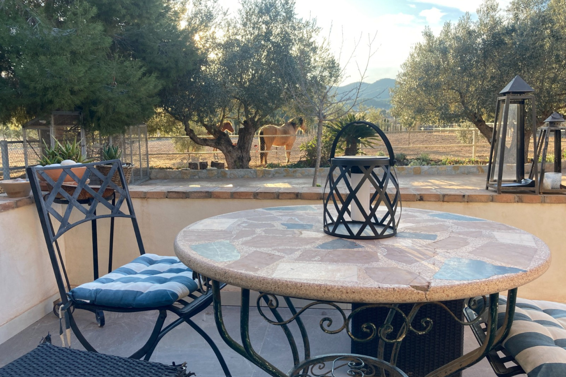 Resale - Equestrian property -
Murcia