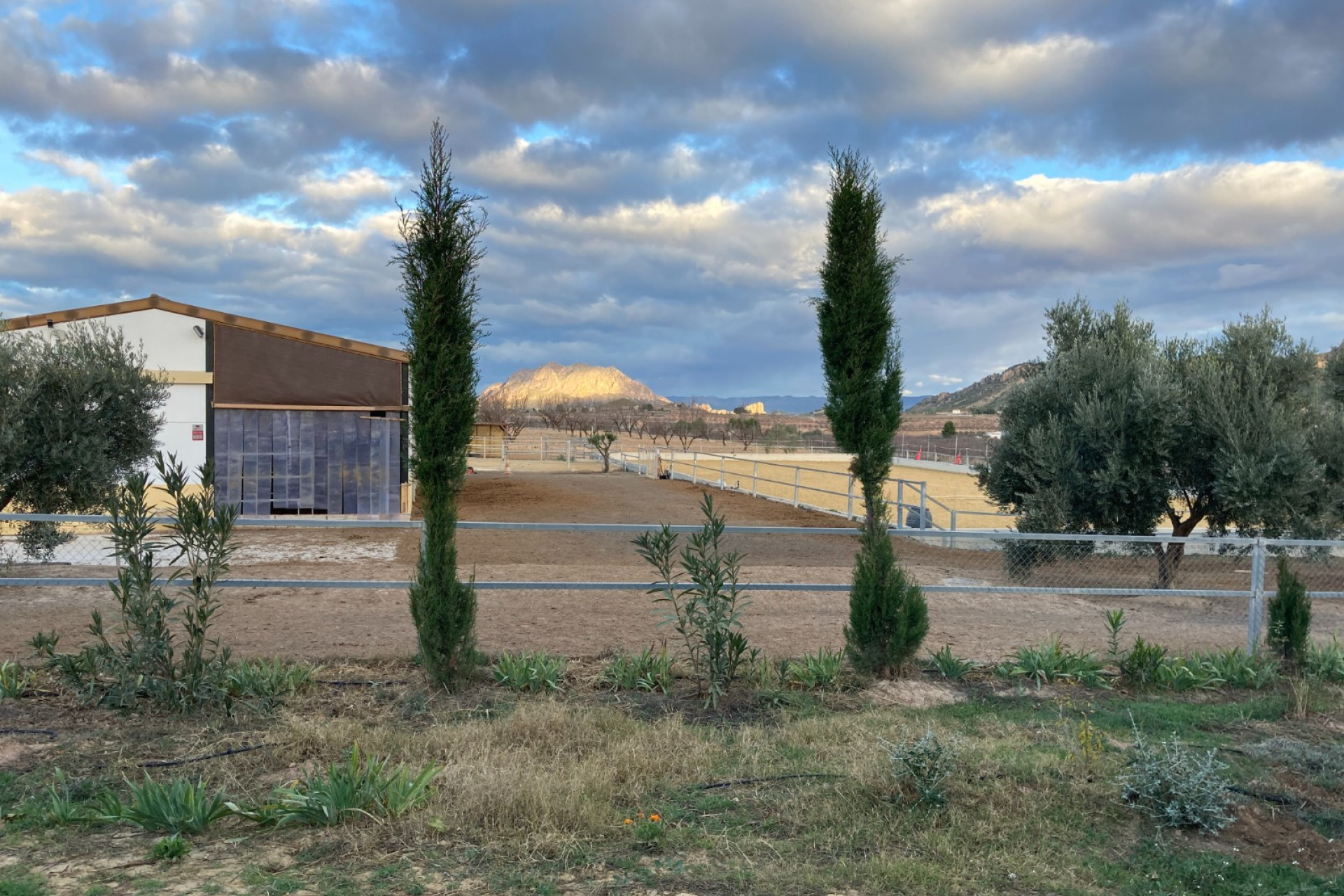 Resale - Equestrian property -
Murcia