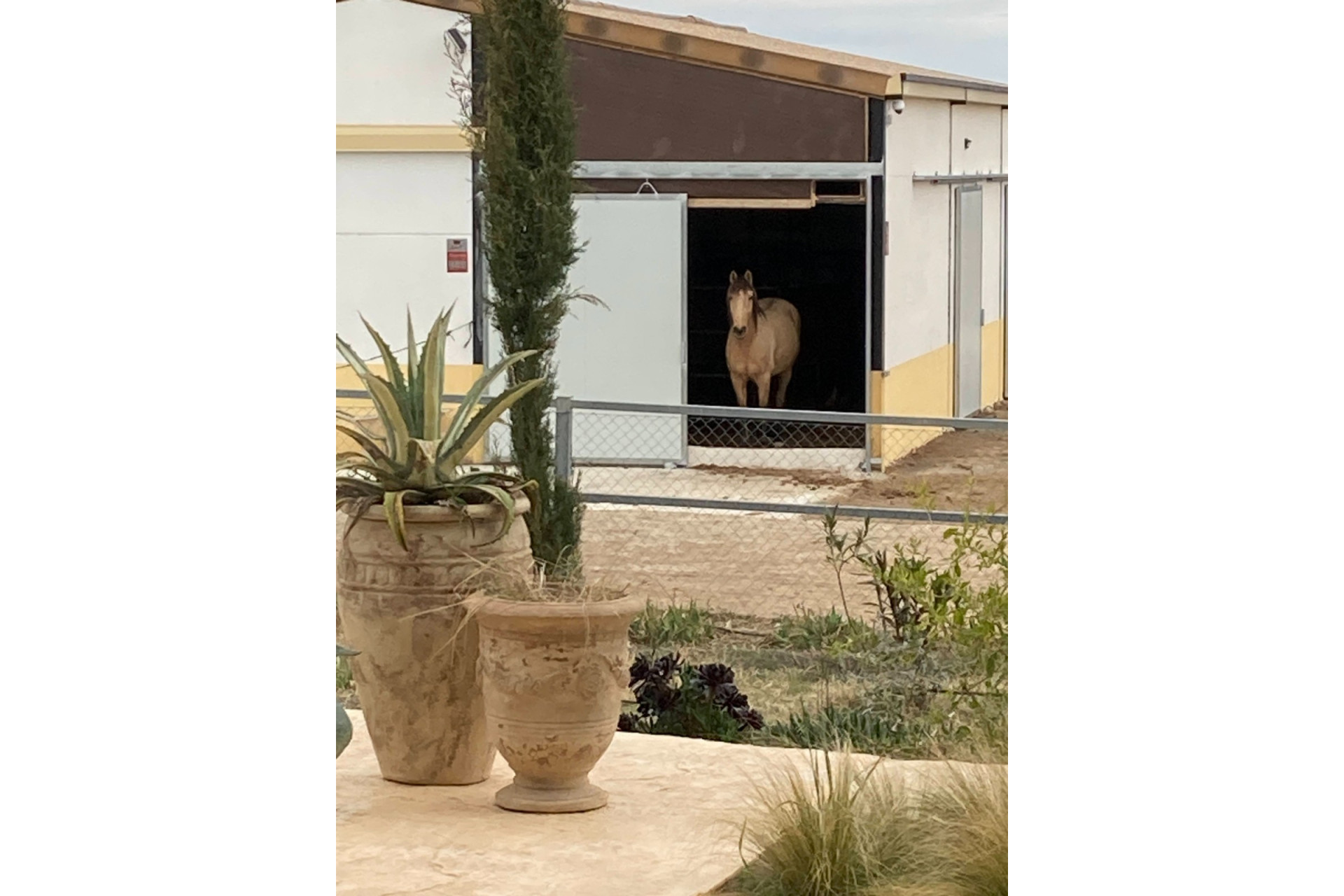 Resale - Equestrian property -
Murcia