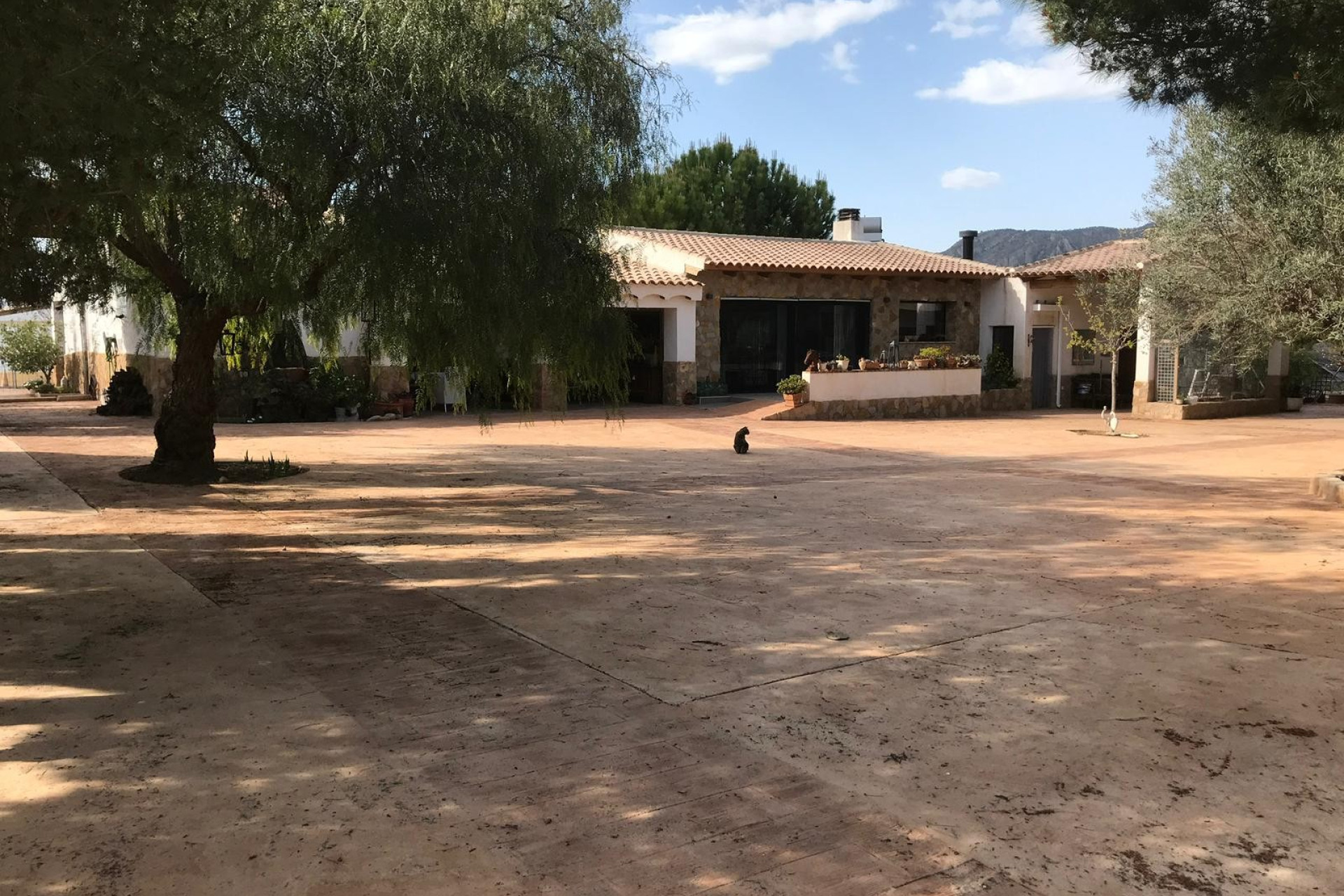 Resale - Equestrian property -
Murcia