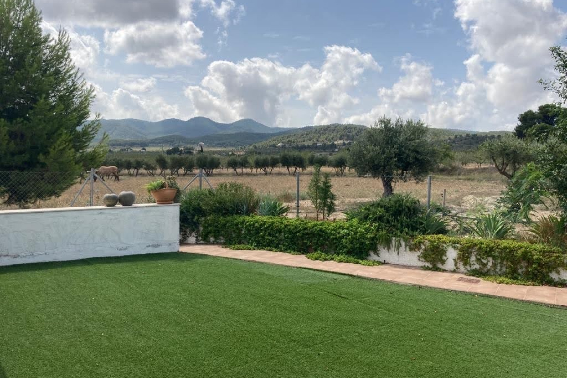 Resale - Equestrian property -
Murcia