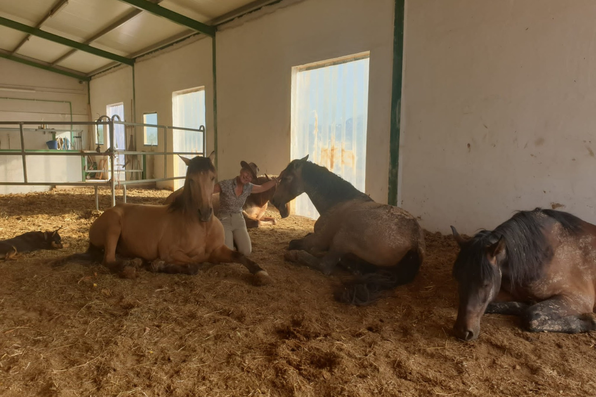 Resale - Equestrian property -
Murcia