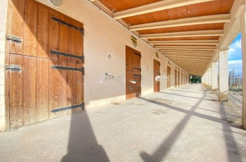 Resale - Equestrian property -
Penàguila - Alicante