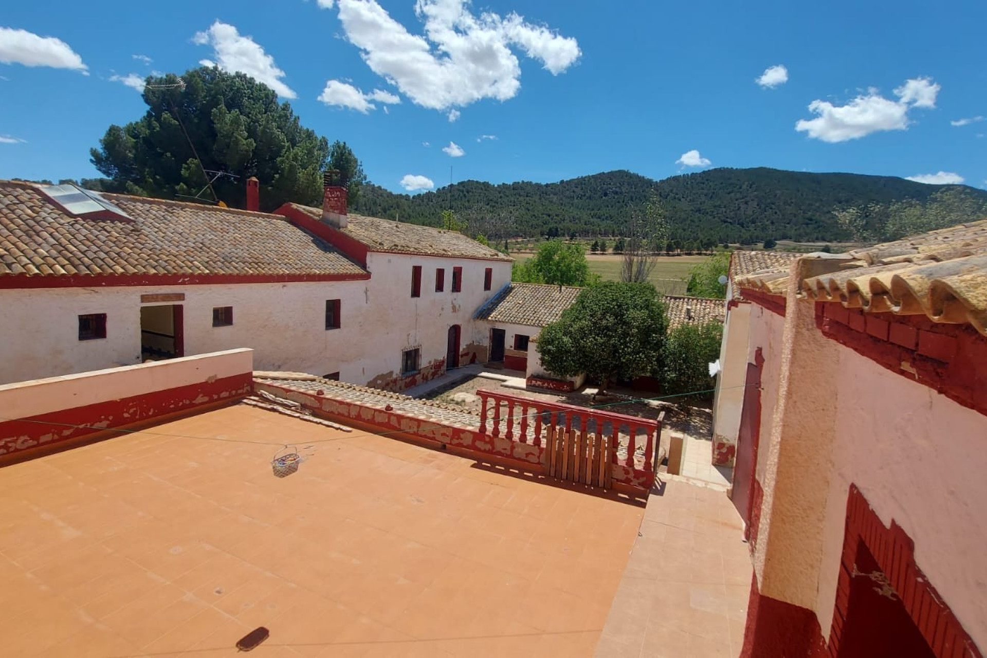 Resale - Equestrian property -
Yecla