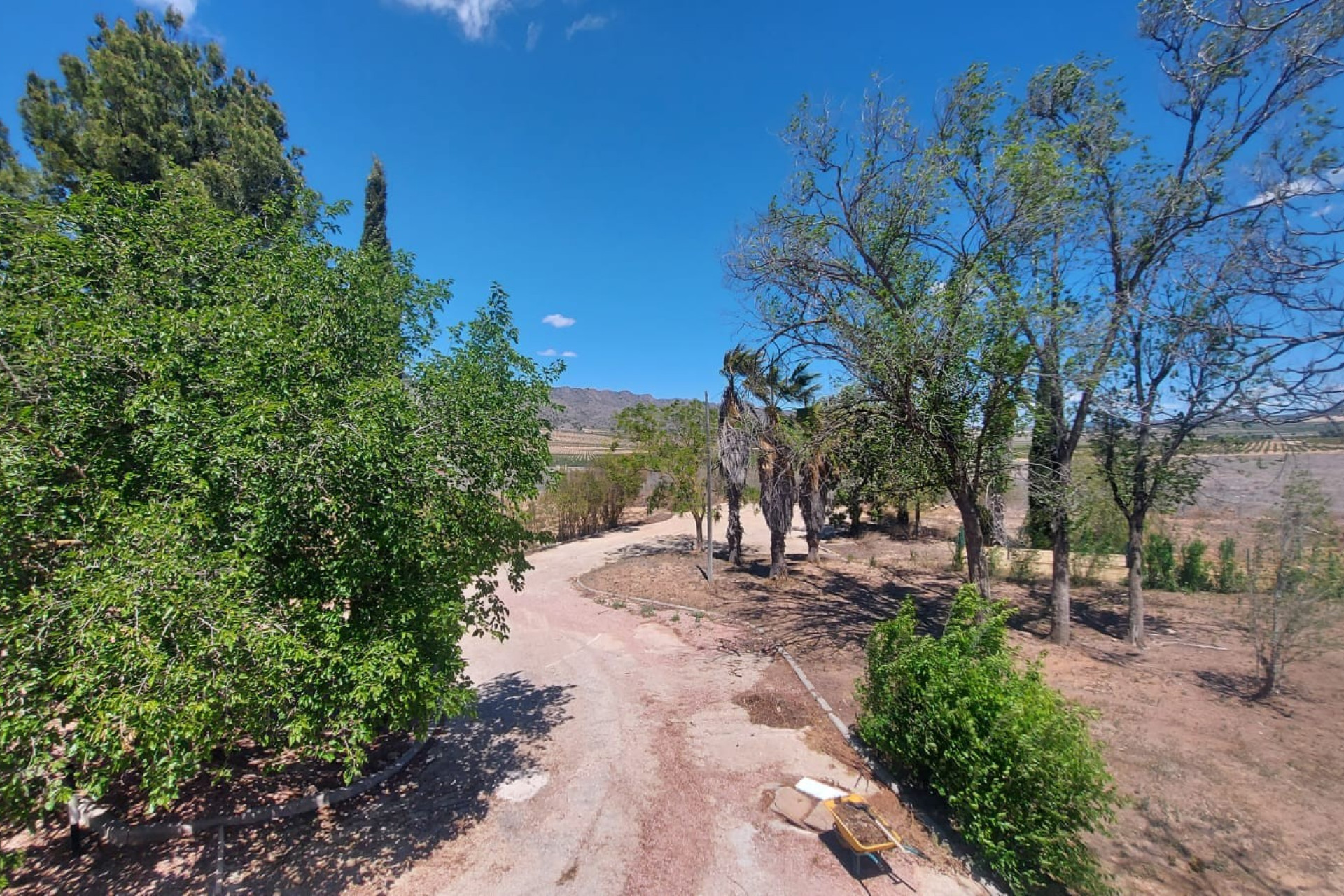 Resale - Equestrian property -
Yecla