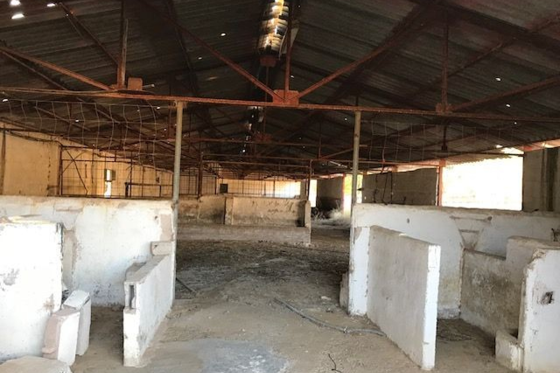 Resale - Equestrian property -
Yecla