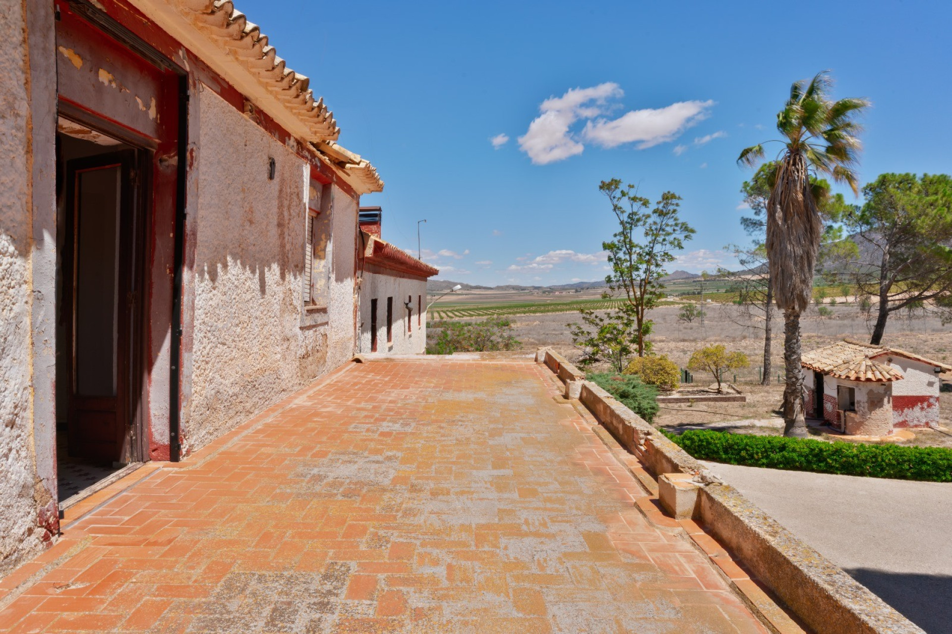 Resale - Equestrian property -
Yecla