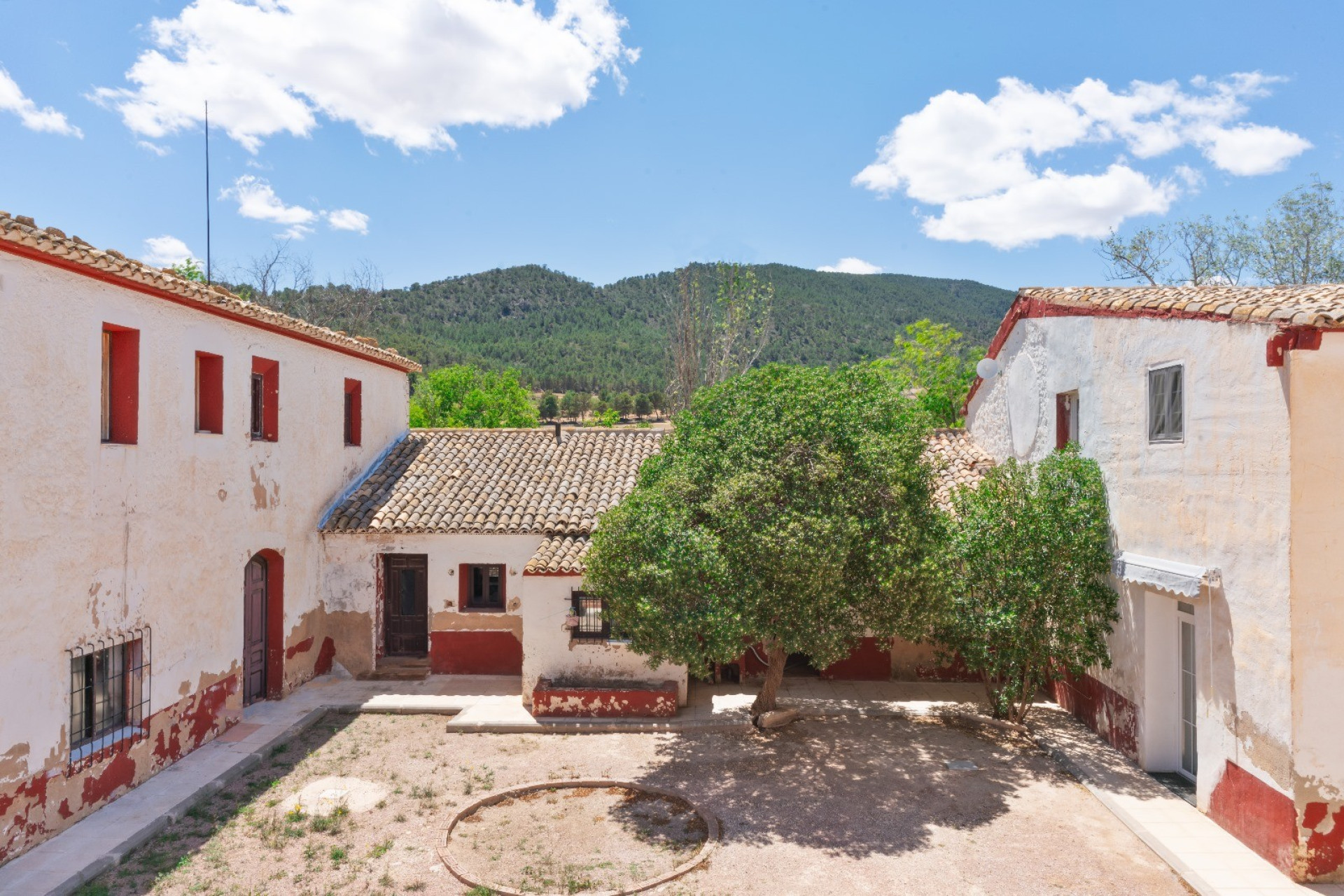 Resale - Equestrian property -
Yecla