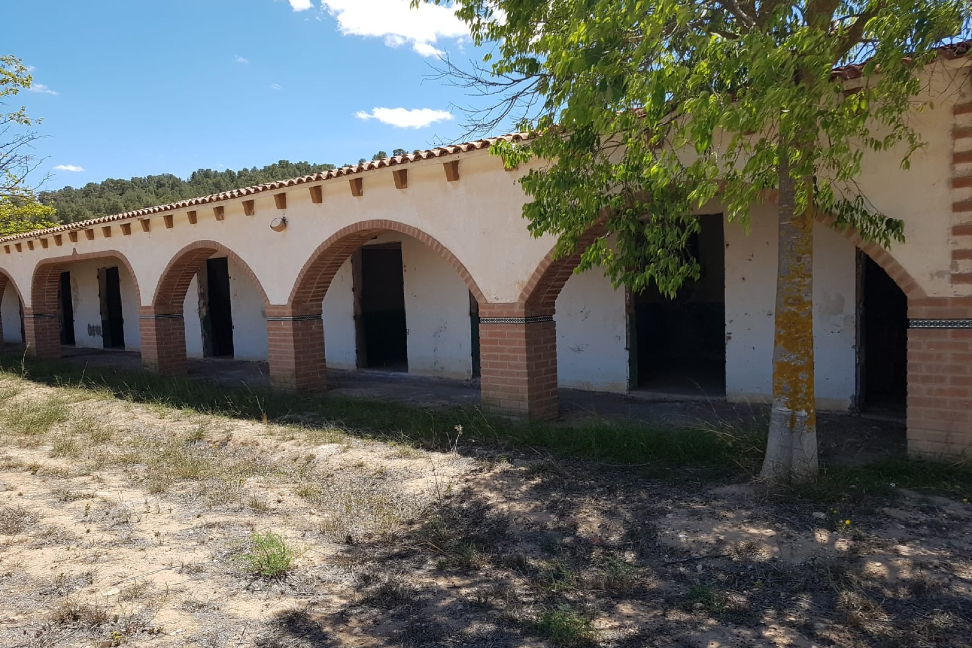 Resale - Equestrian property -
Yecla