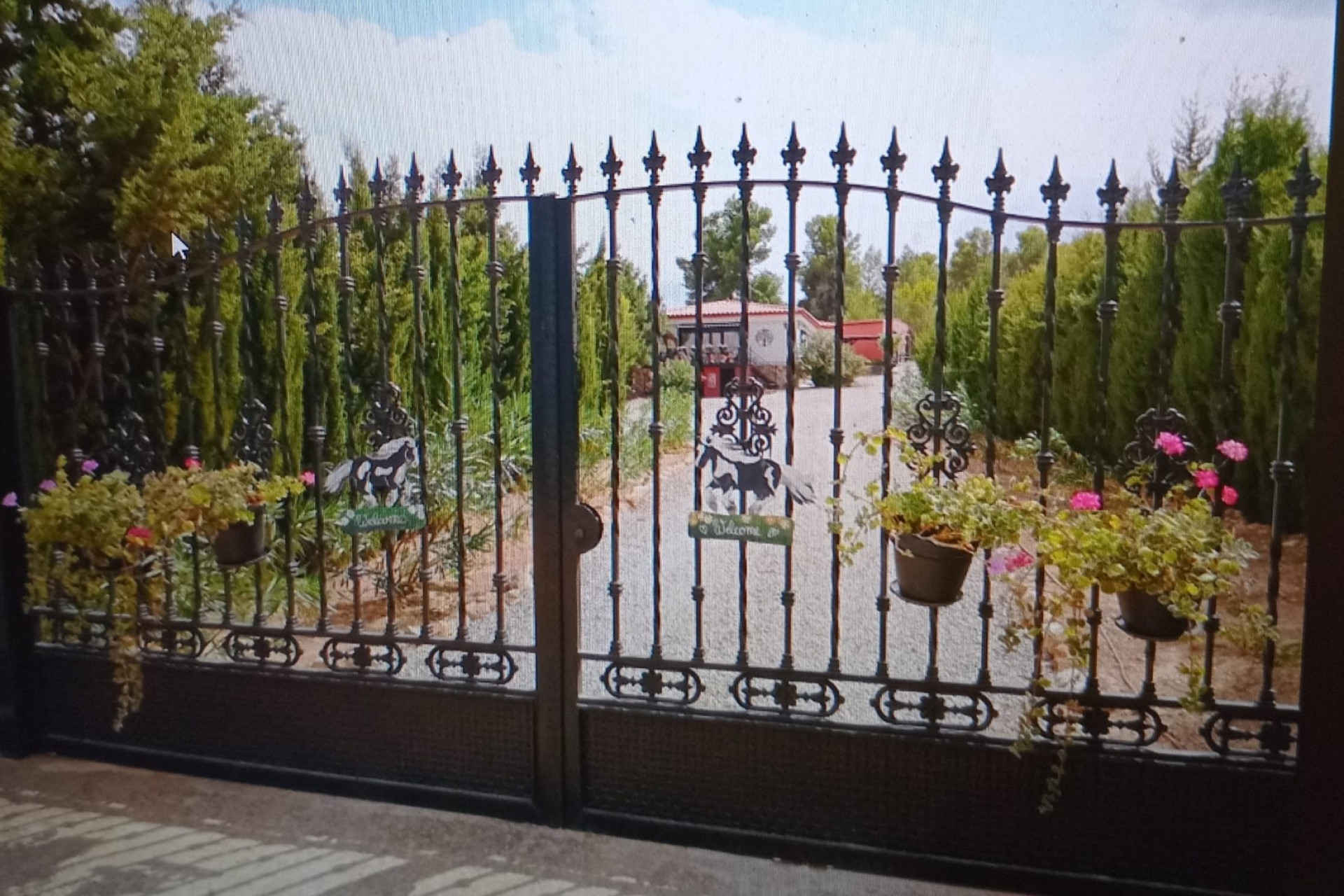 Resale - Equestrian property -
Zarra