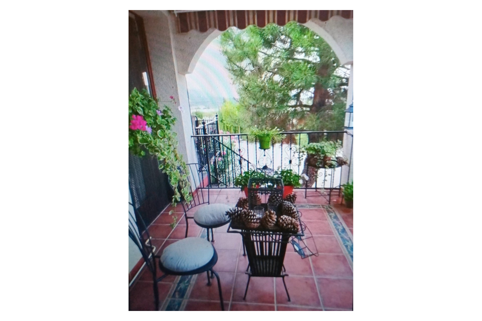 Resale - Equestrian property -
Zarra