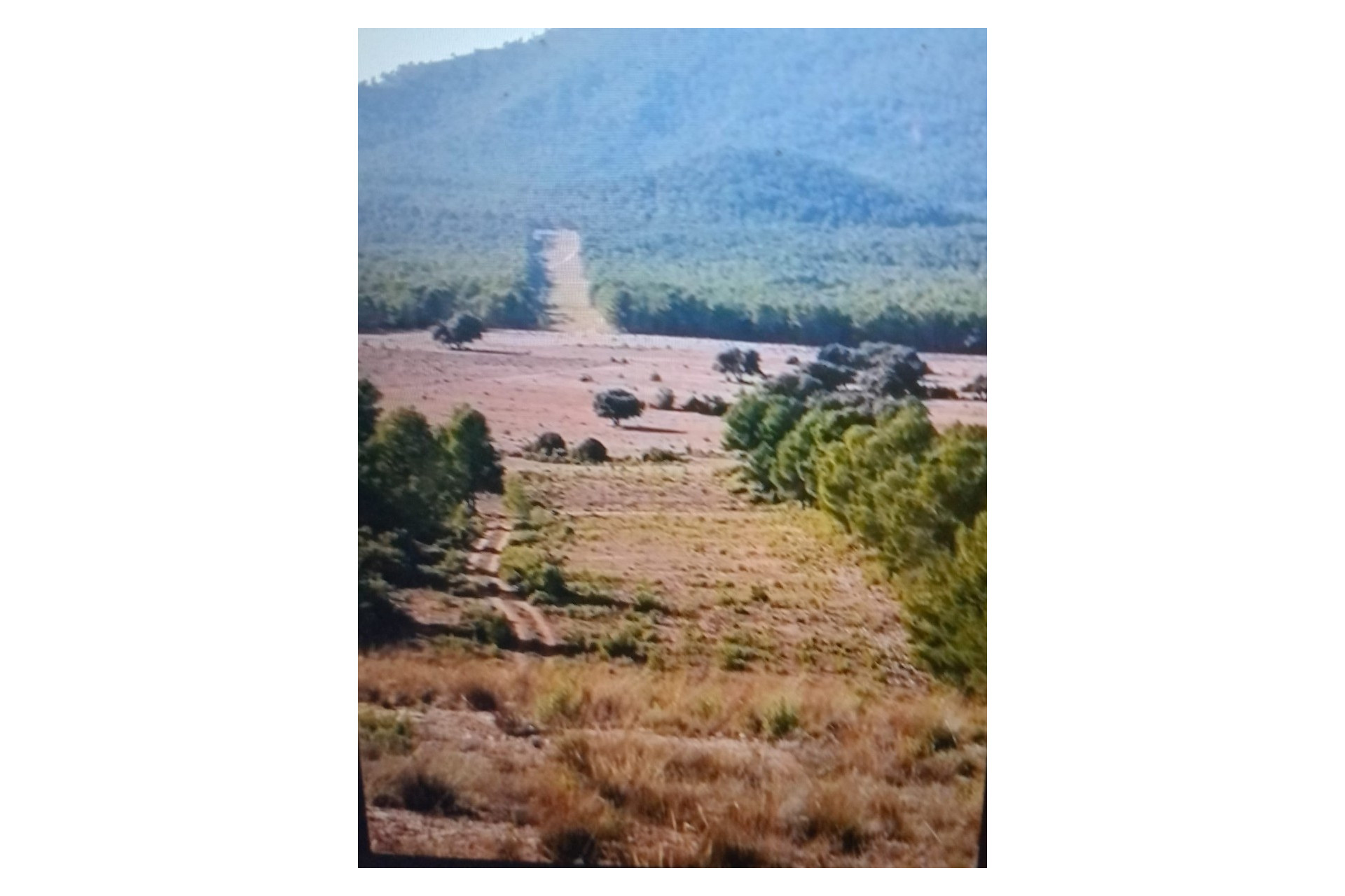 Resale - Equestrian property -
Zarra