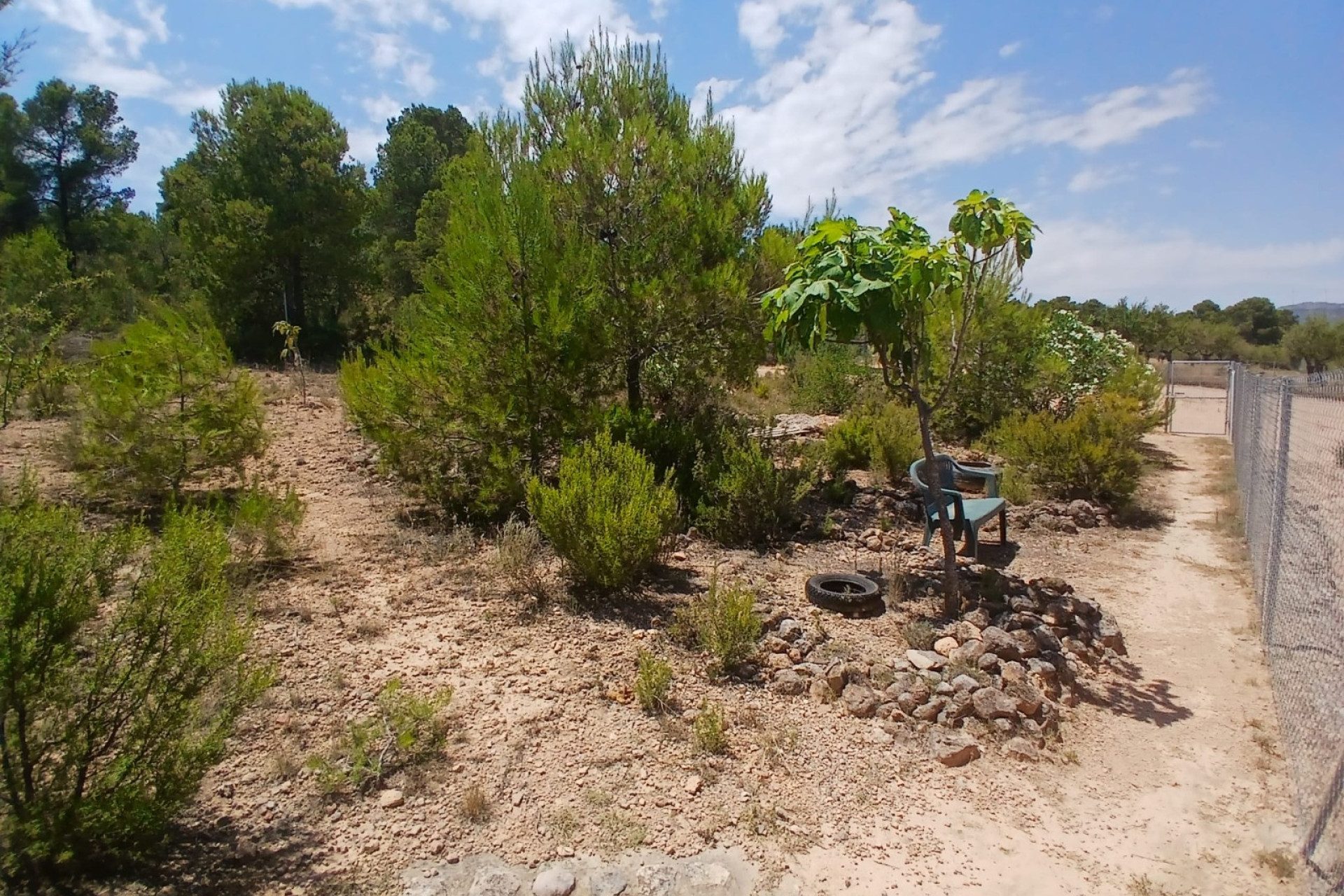 Resale - Equestrian property -
Zarra