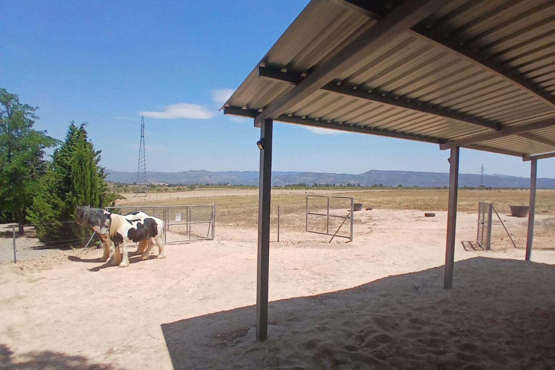 Resale - Equestrian property -
Zarra