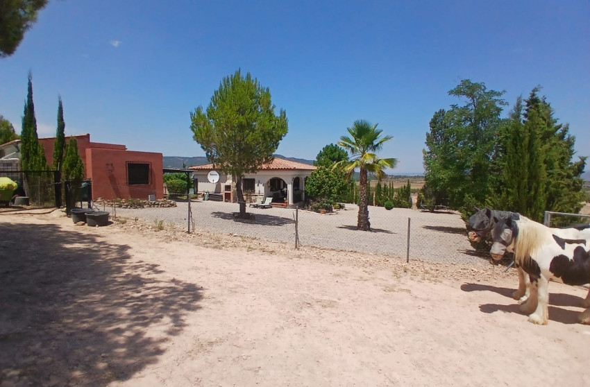 Resale - Equestrian property -
Zarra