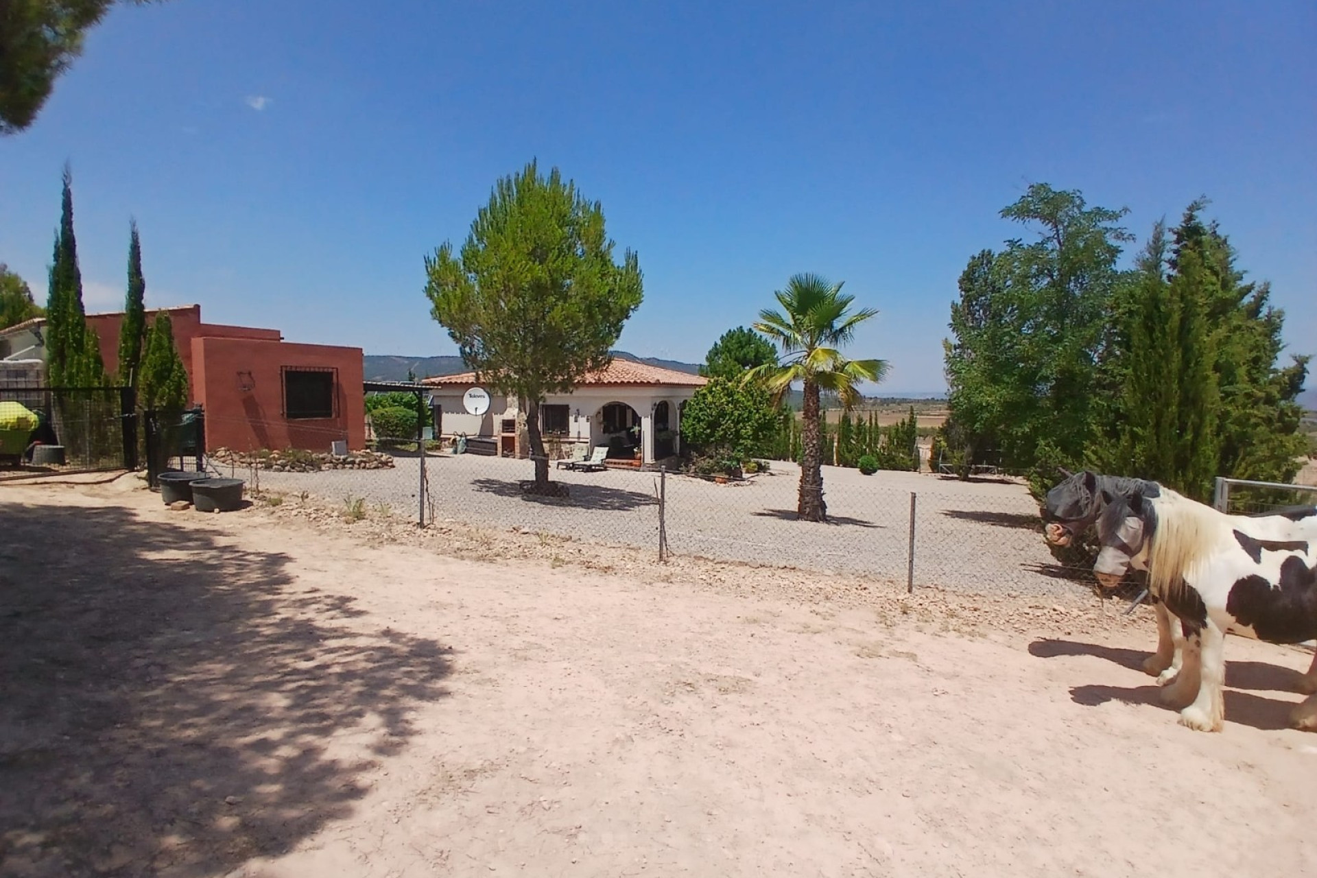 Resale - Equestrian property -
Zarra