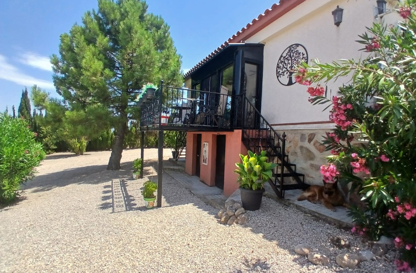 Resale - Equestrian property -
Zarra