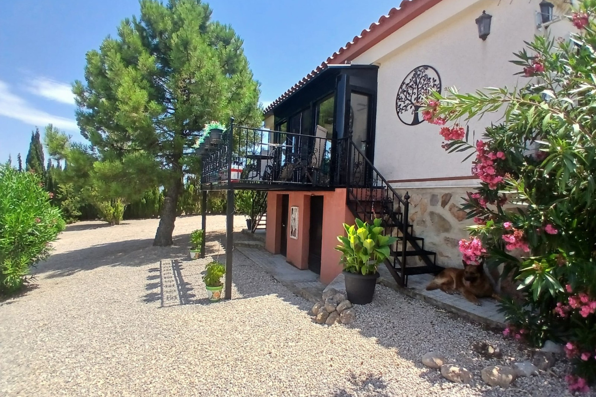 Resale - Equestrian property -
Zarra