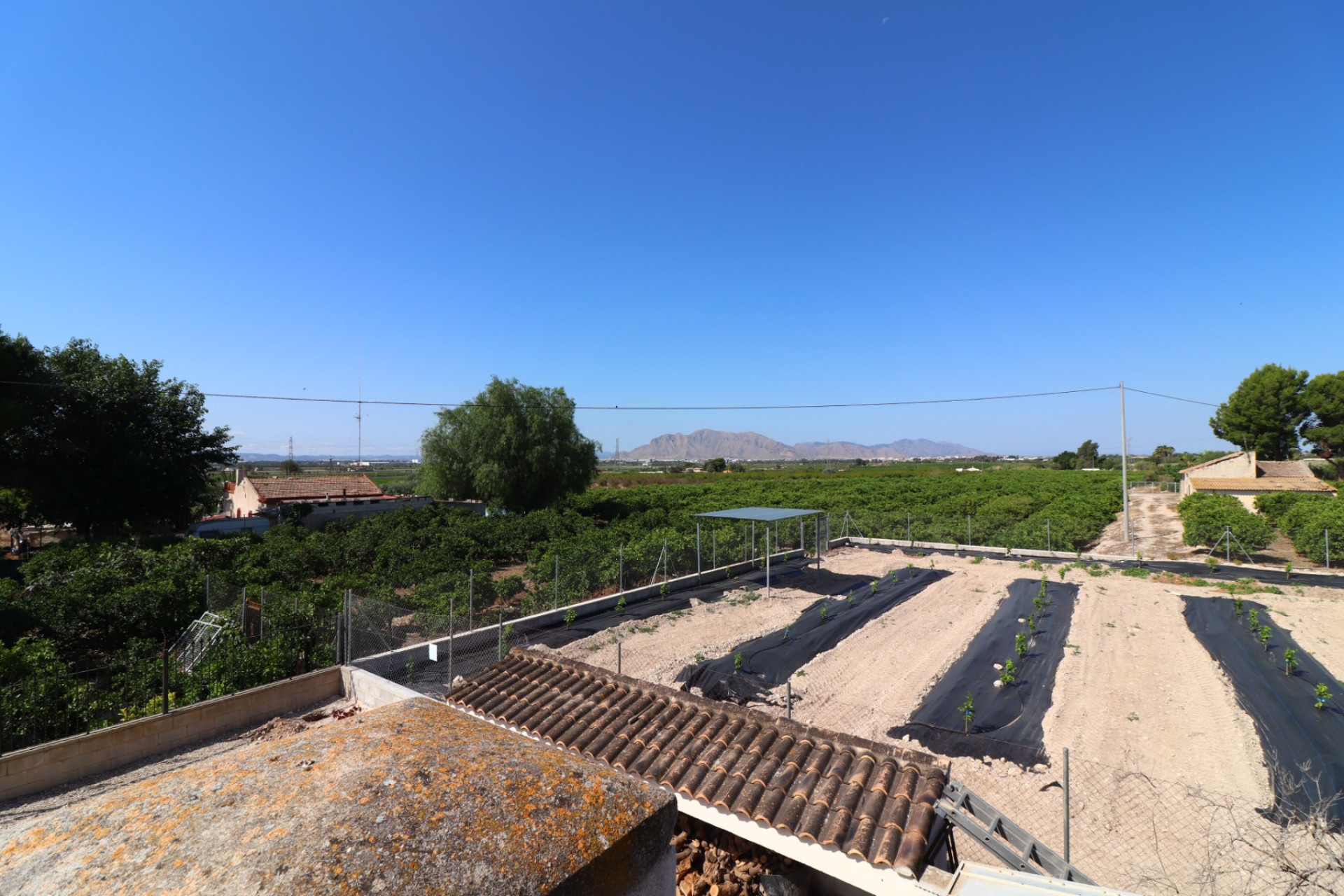 Resale - Finca - Country Property -
Albatera - Albatera - Country