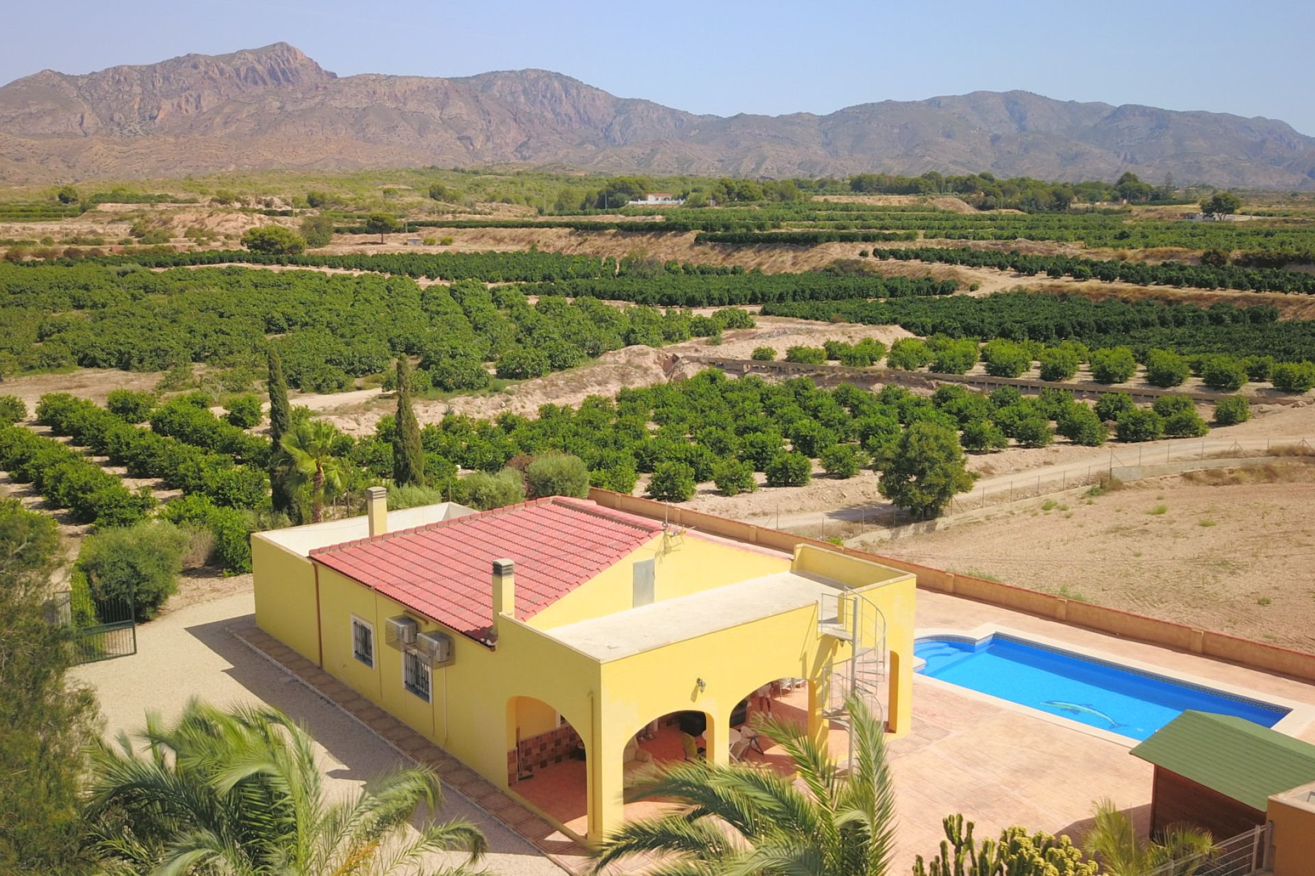 Resale - Finca - Country Property -
Albatera - Albatera - Country