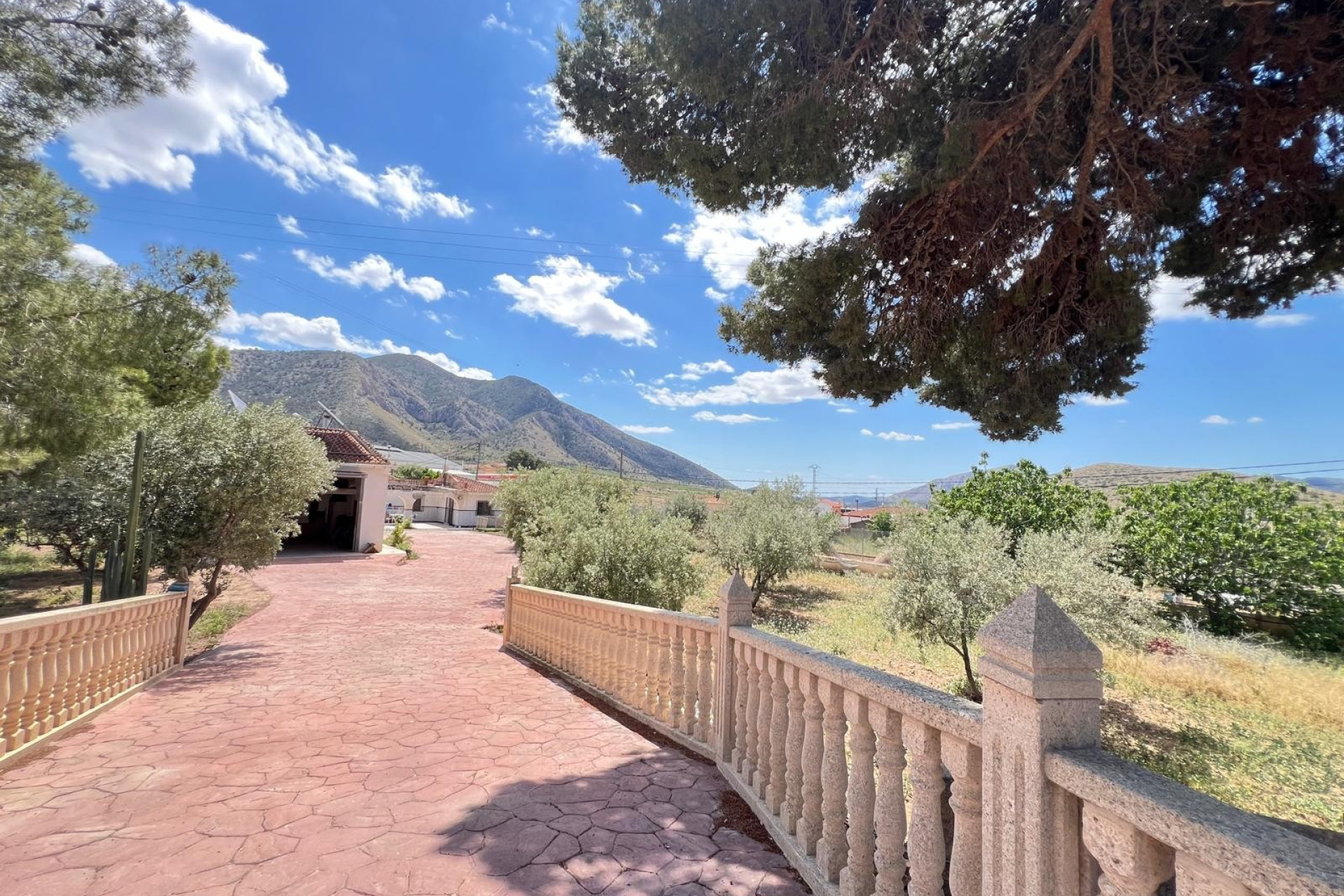 Resale - Finca - Country Property -
Algueña - Inland