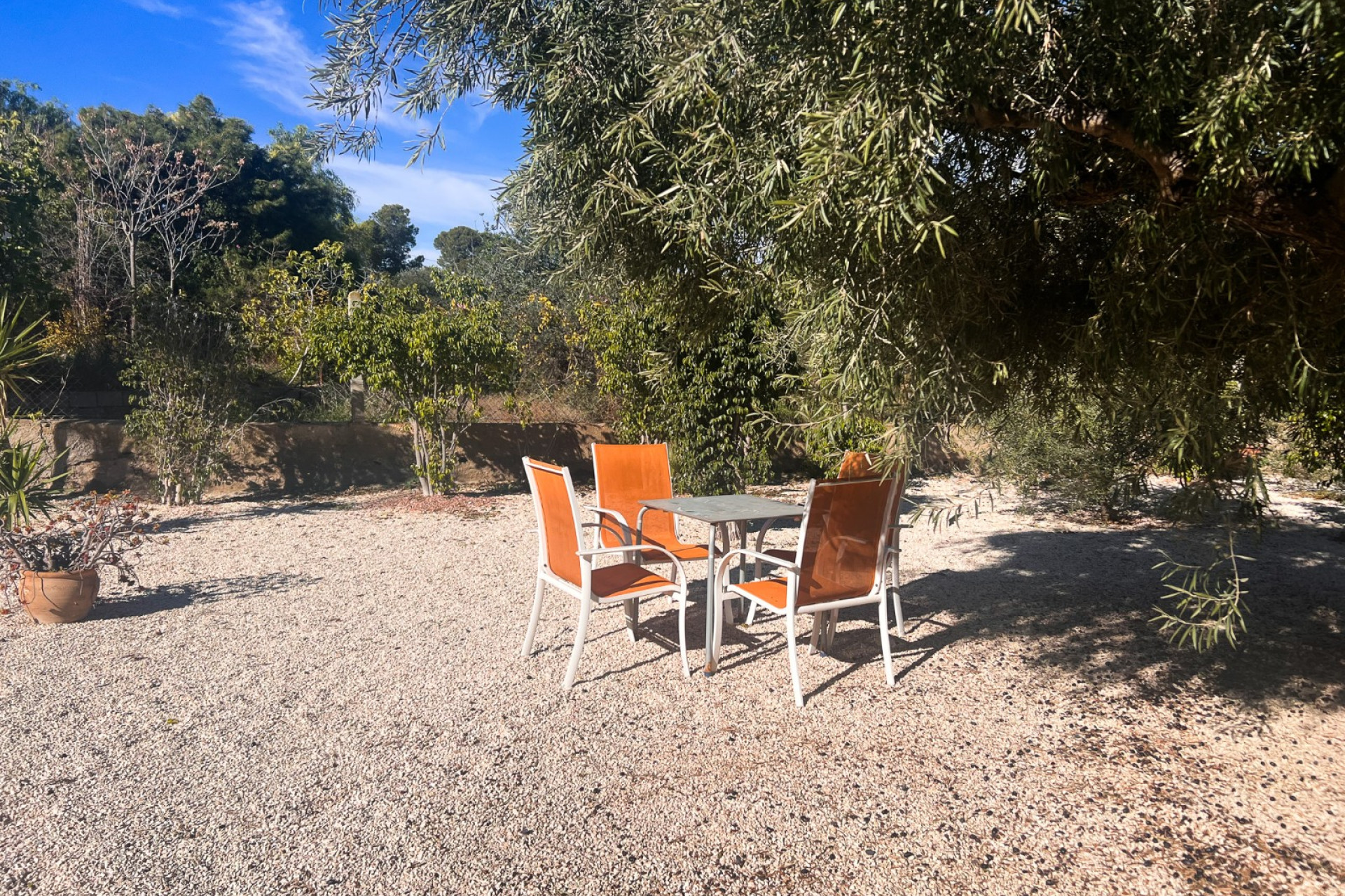 Resale - Finca - Country Property -
Alicante - Moralet - Cañada del Fenollar