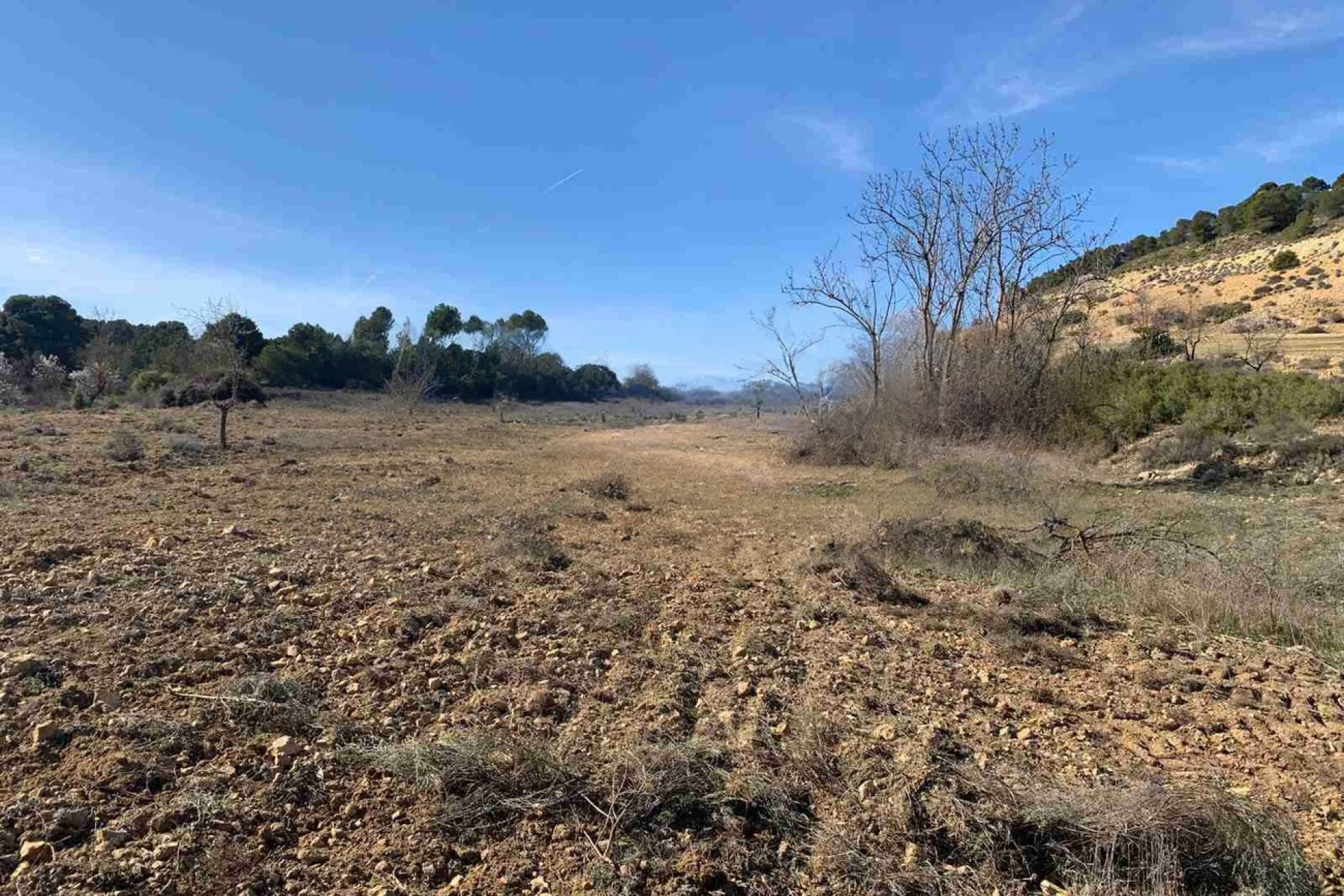 Resale - Finca / Country Property -
Almansa