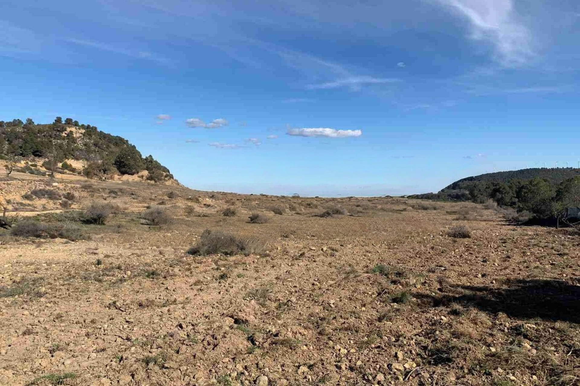 Resale - Finca / Country Property -
Almansa