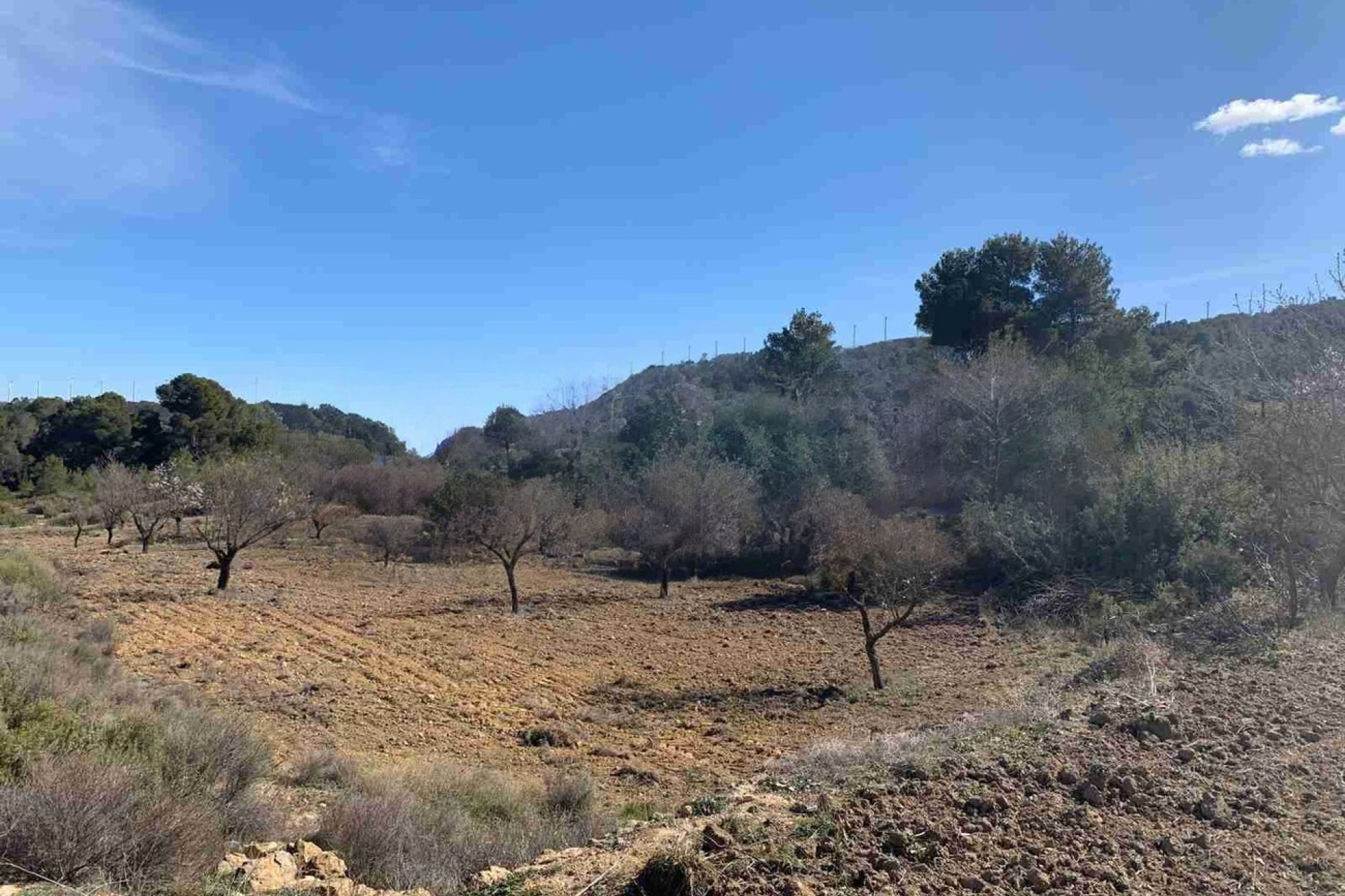 Resale - Finca / Country Property -
Almansa