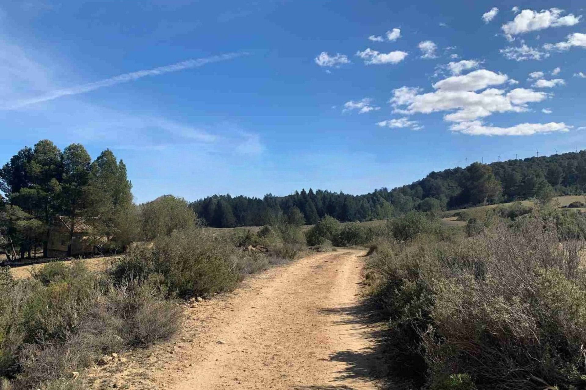 Resale - Finca / Country Property -
Almansa