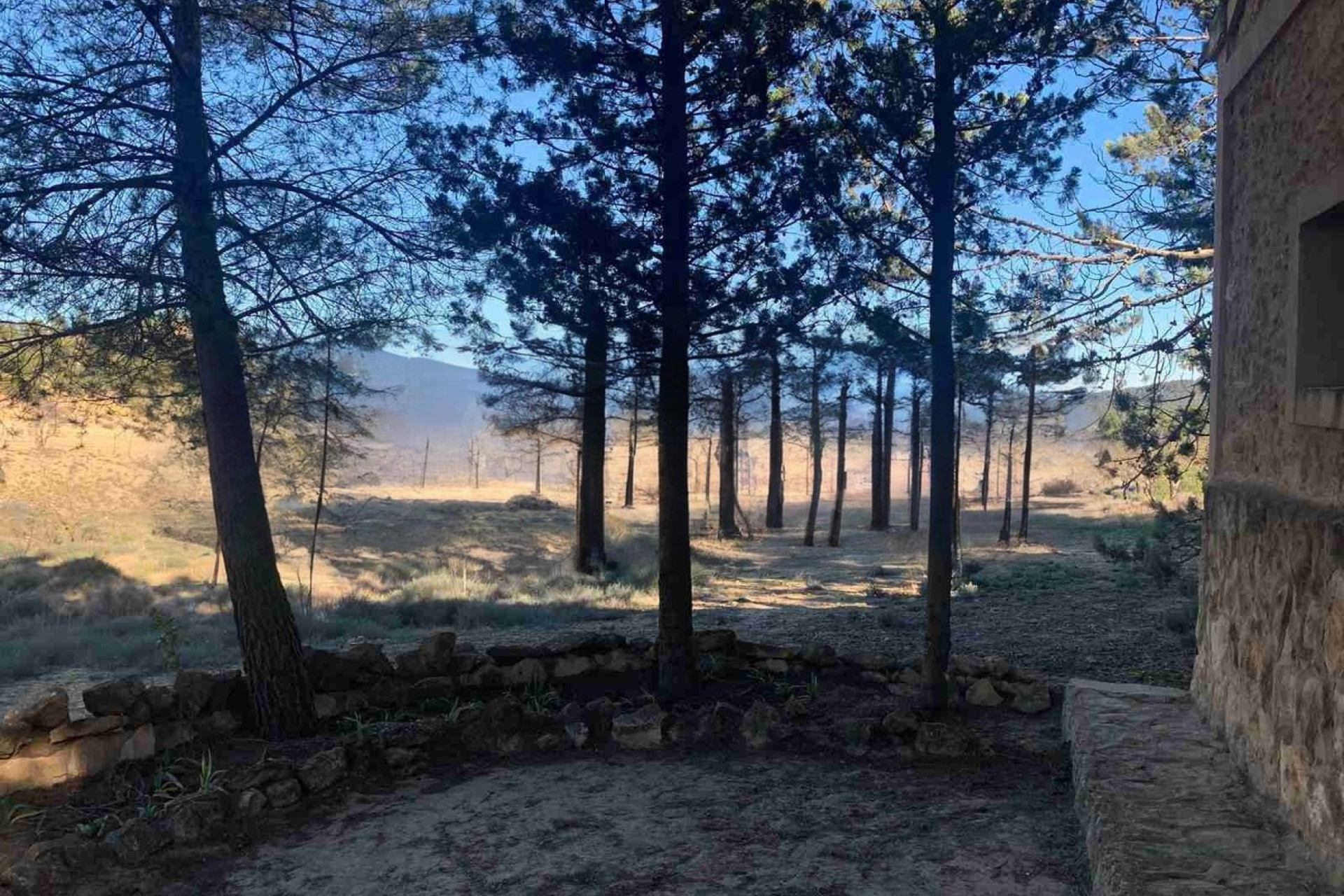 Resale - Finca / Country Property -
Almansa