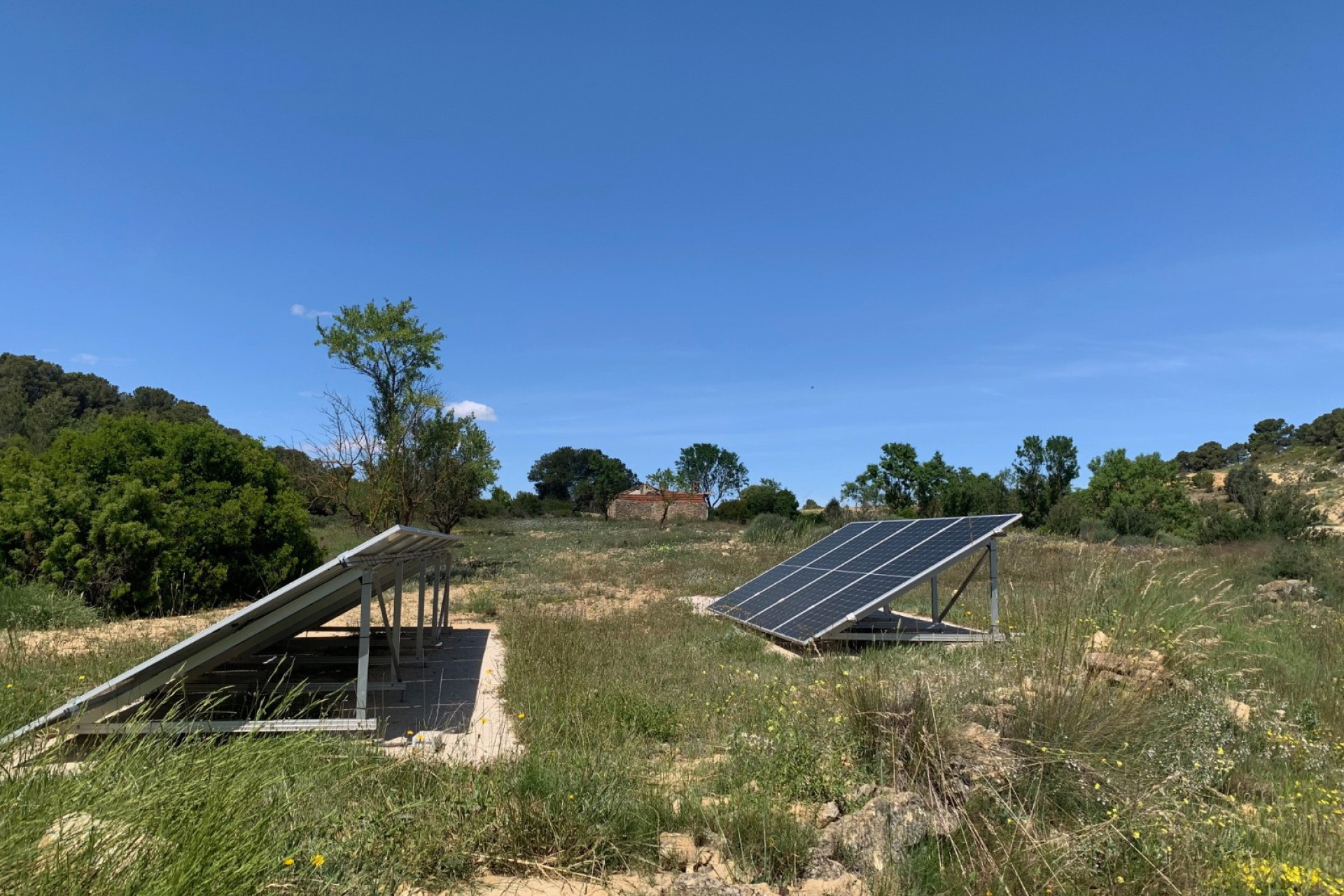 Resale - Finca / Country Property -
Almansa