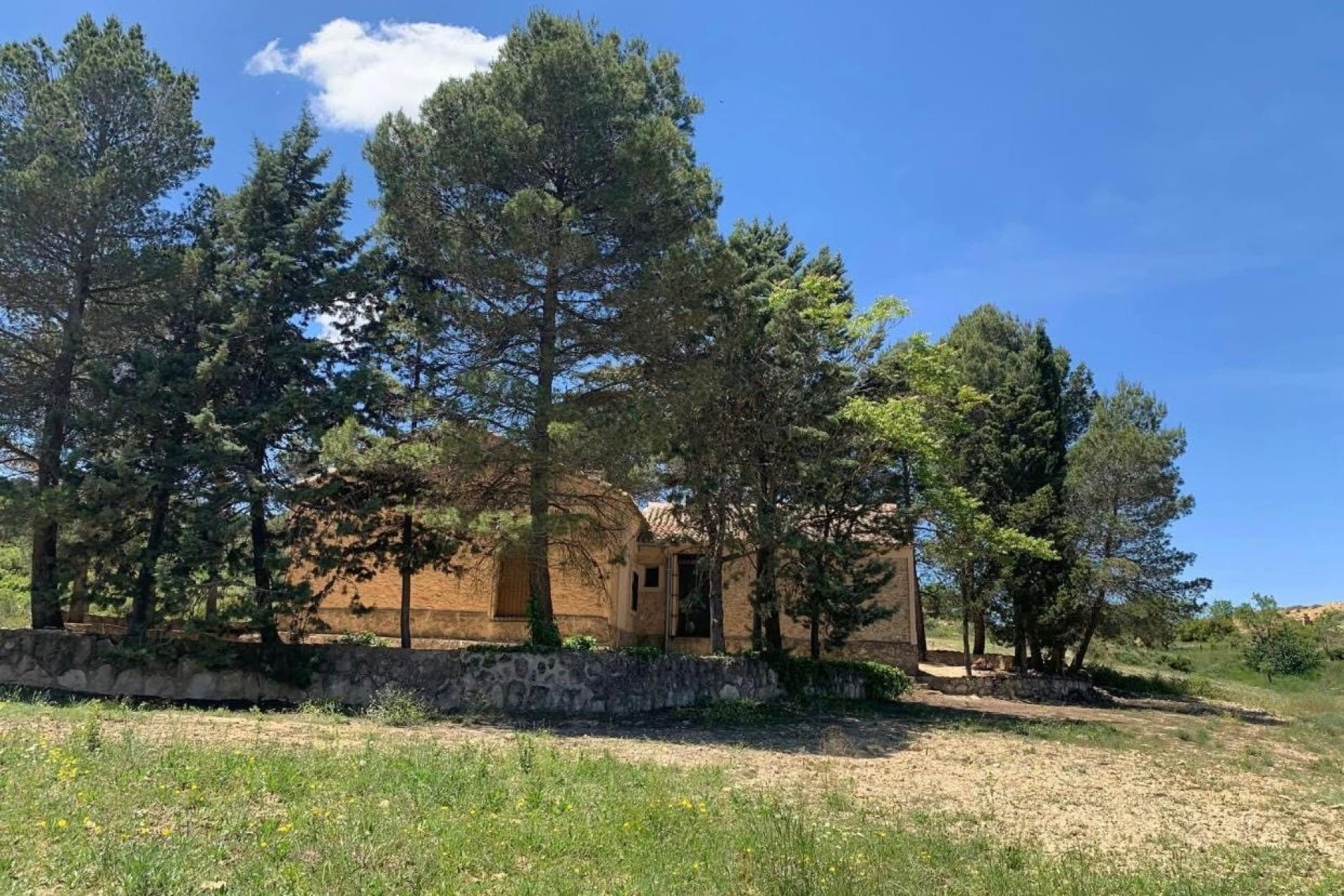 Resale - Finca / Country Property -
Almansa