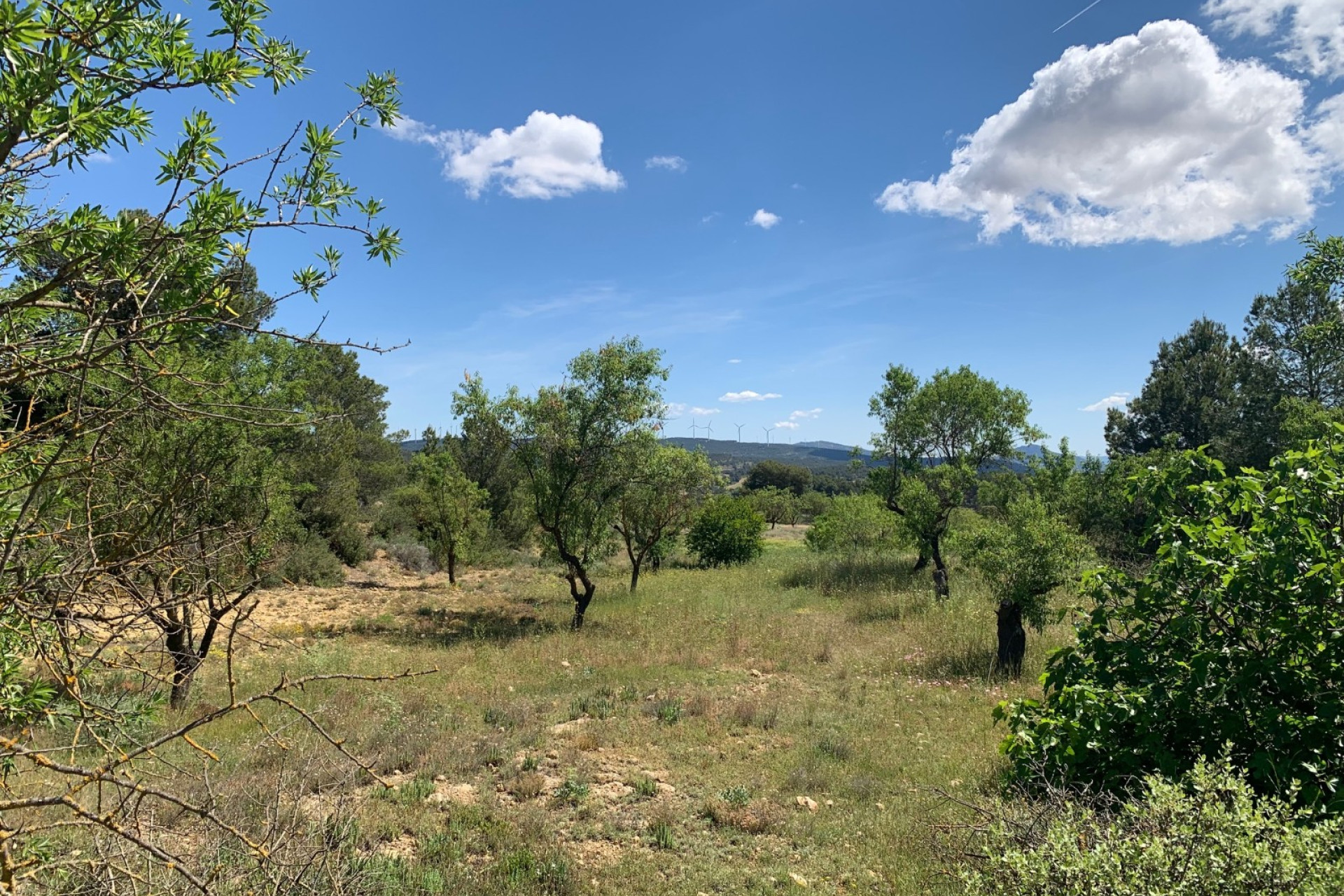 Resale - Finca / Country Property -
Almansa