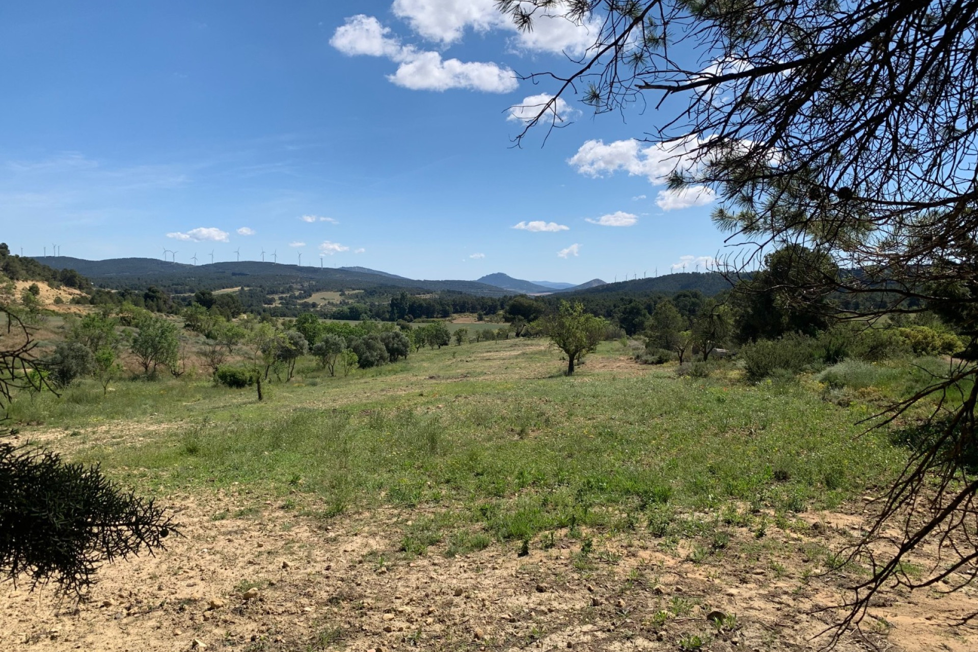 Resale - Finca / Country Property -
Almansa