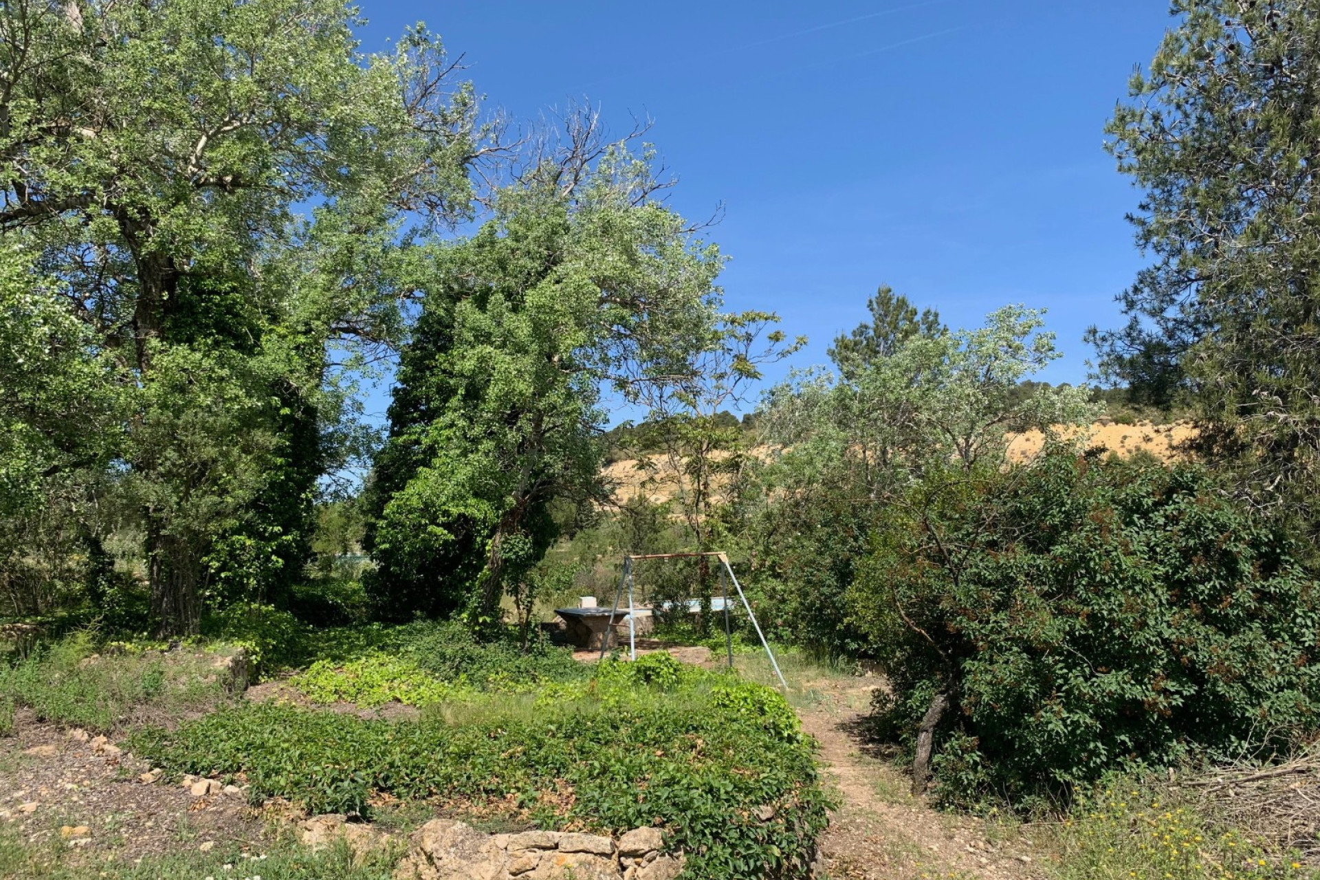 Resale - Finca / Country Property -
Almansa