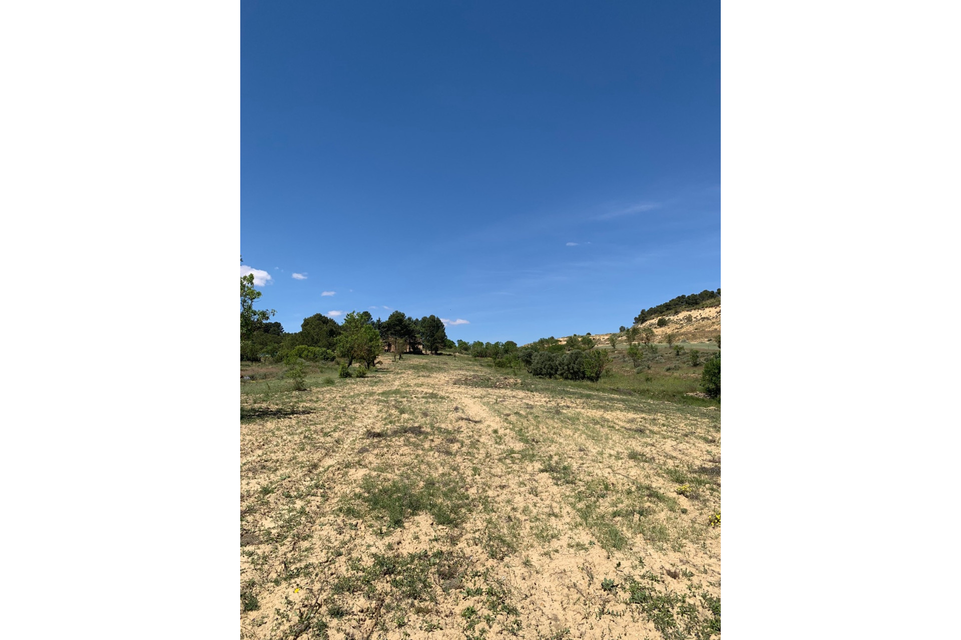 Resale - Finca / Country Property -
Almansa