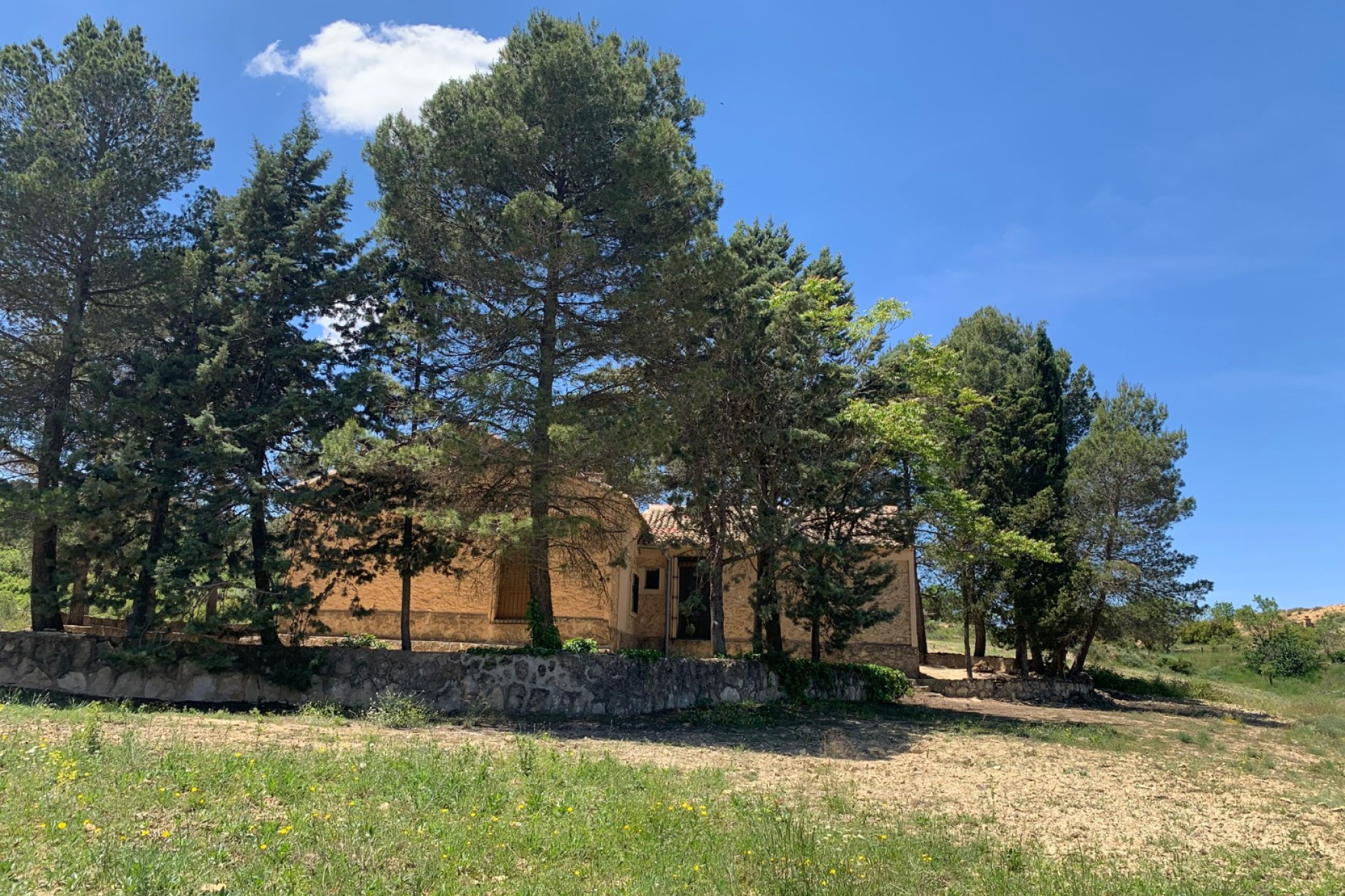 Resale - Finca / Country Property -
Almansa