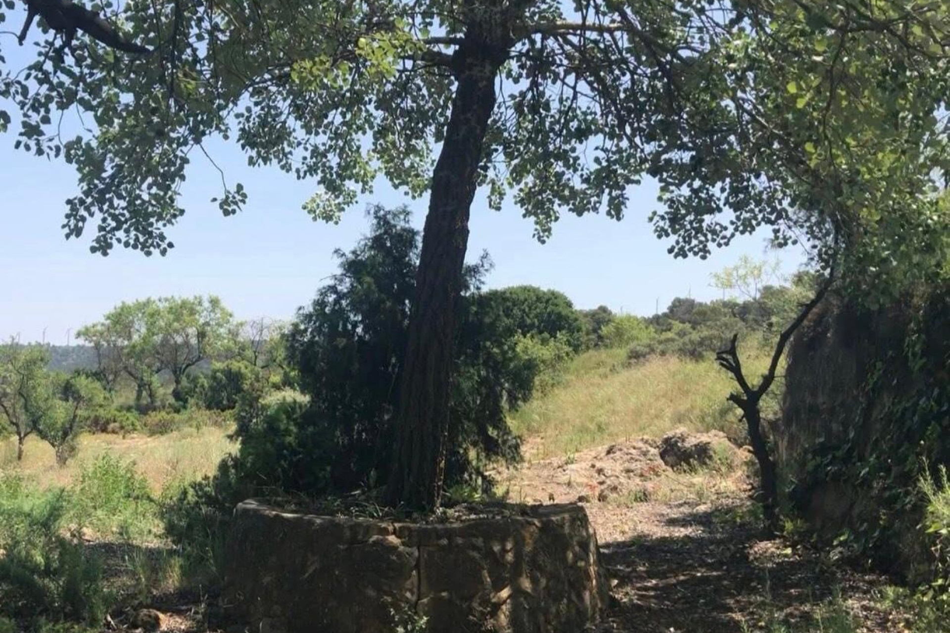 Resale - Finca / Country Property -
Almansa