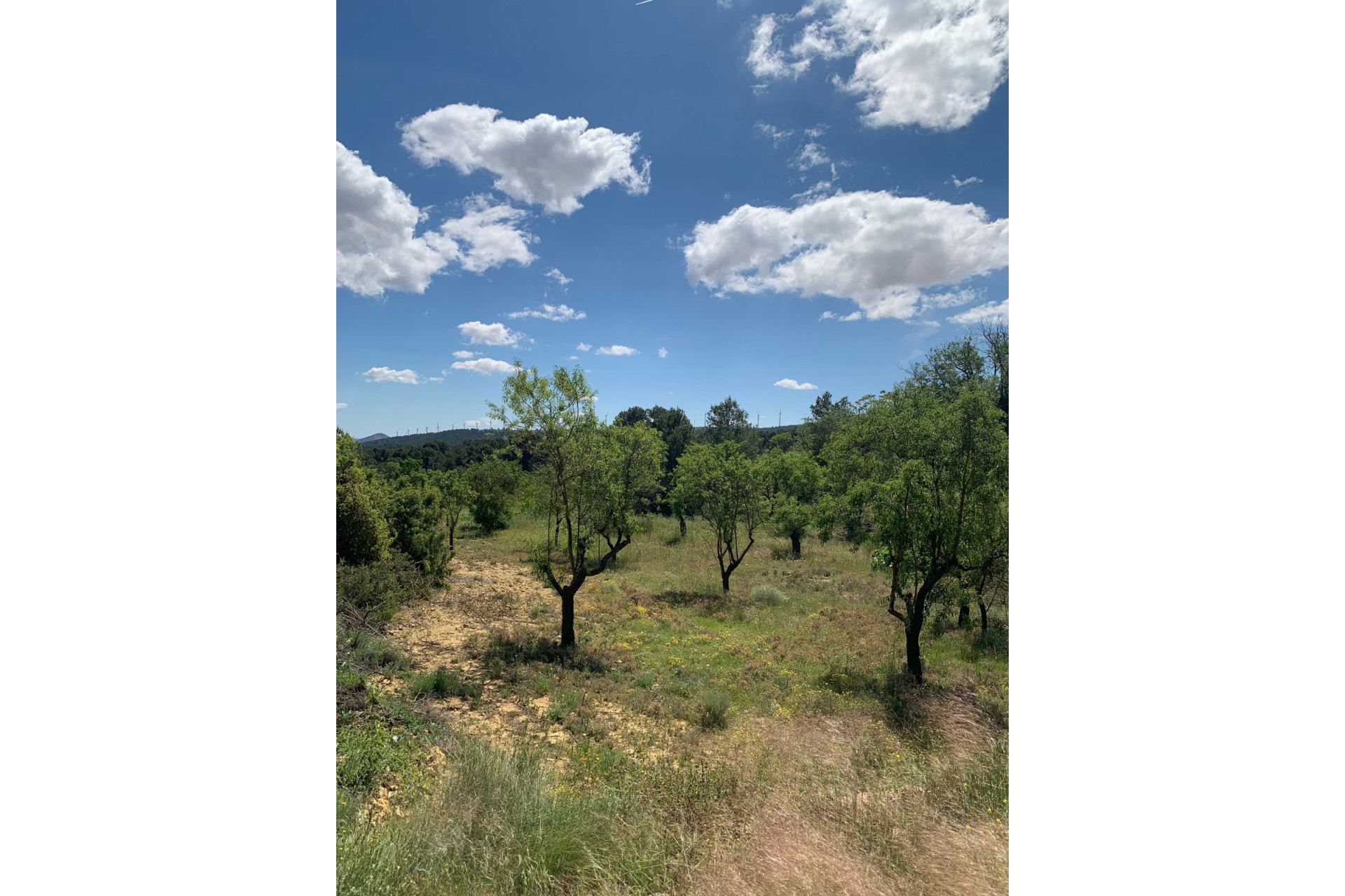 Resale - Finca / Country Property -
Almansa