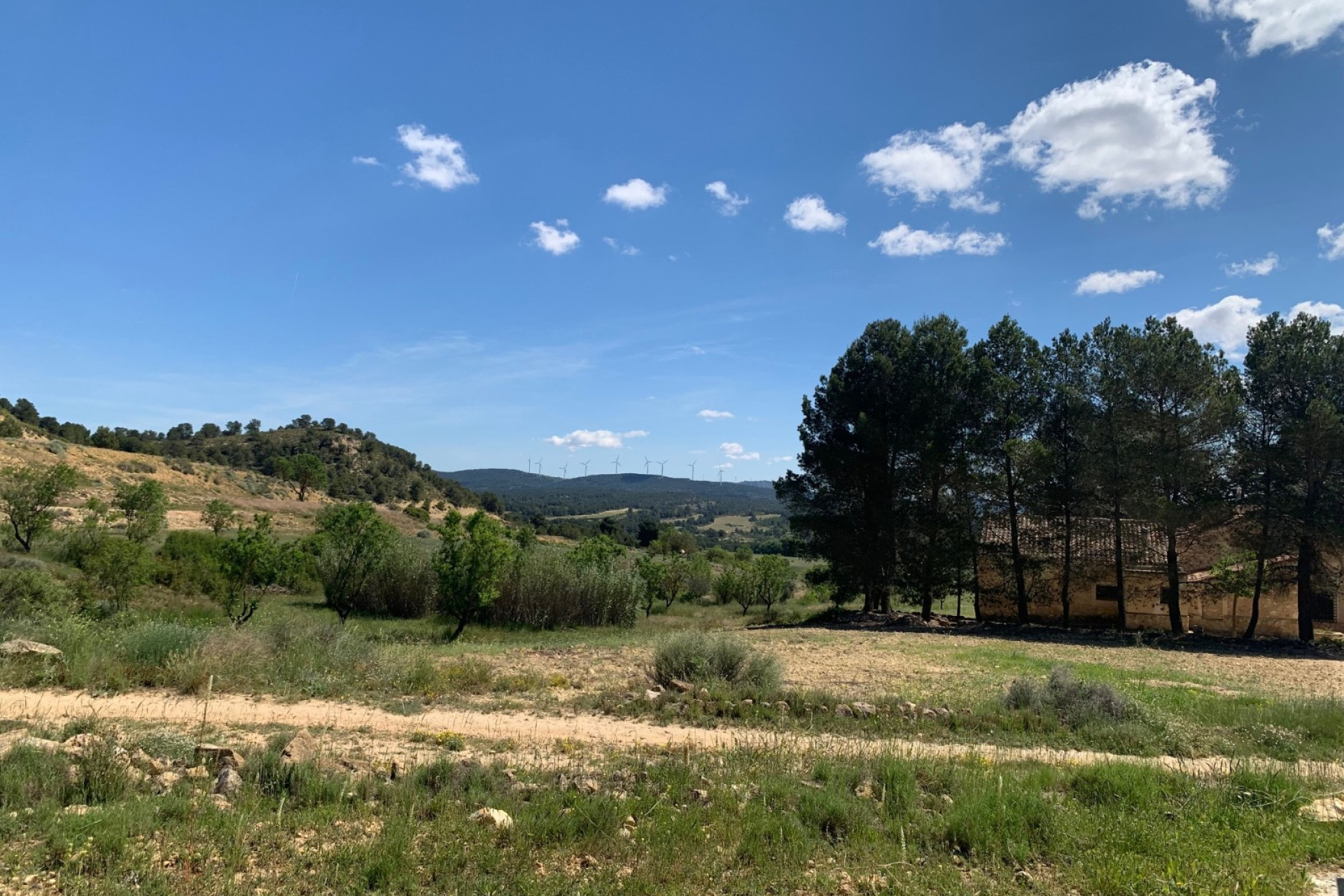 Resale - Finca / Country Property -
Almansa