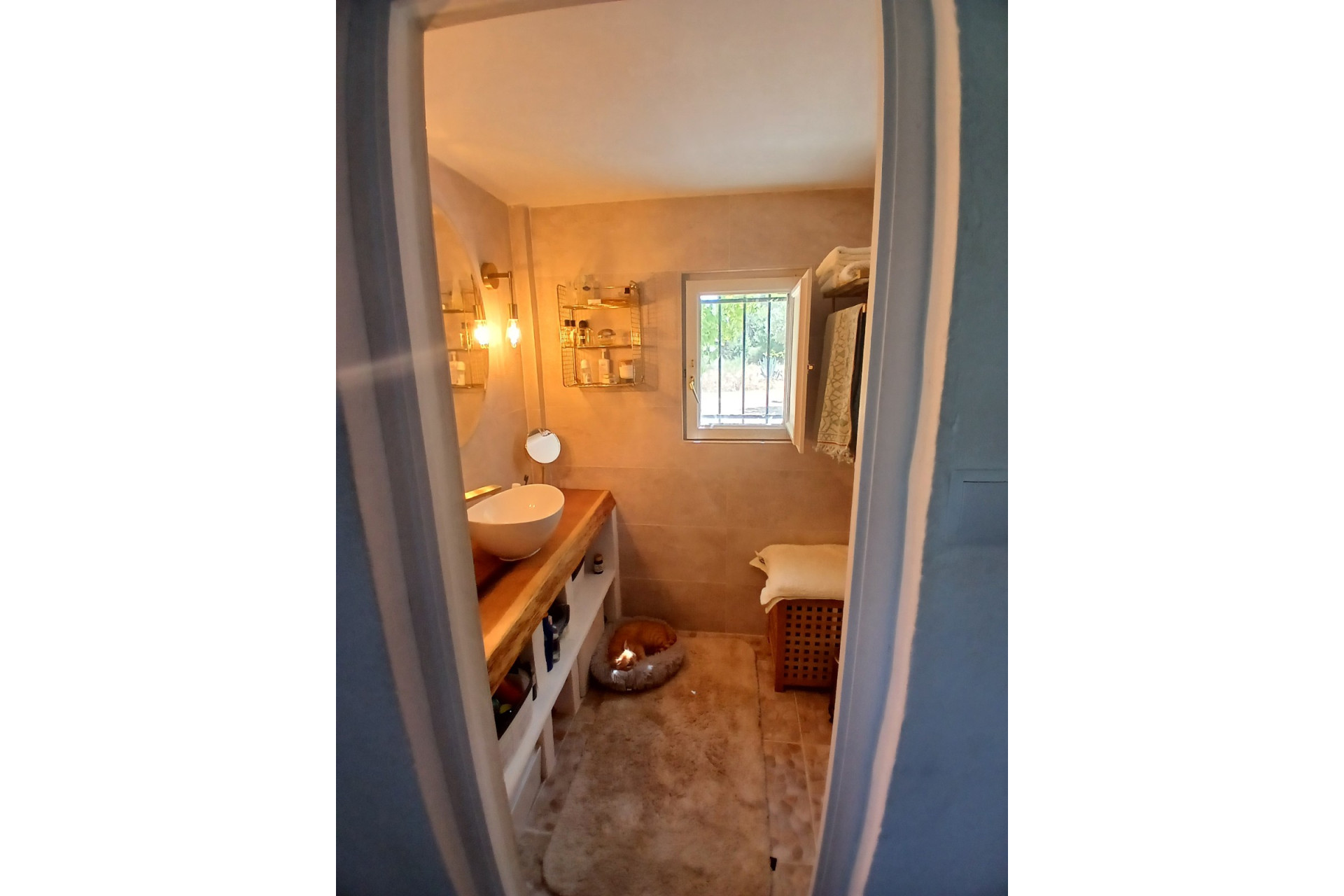 Resale - Finca / Country Property -
Ayora