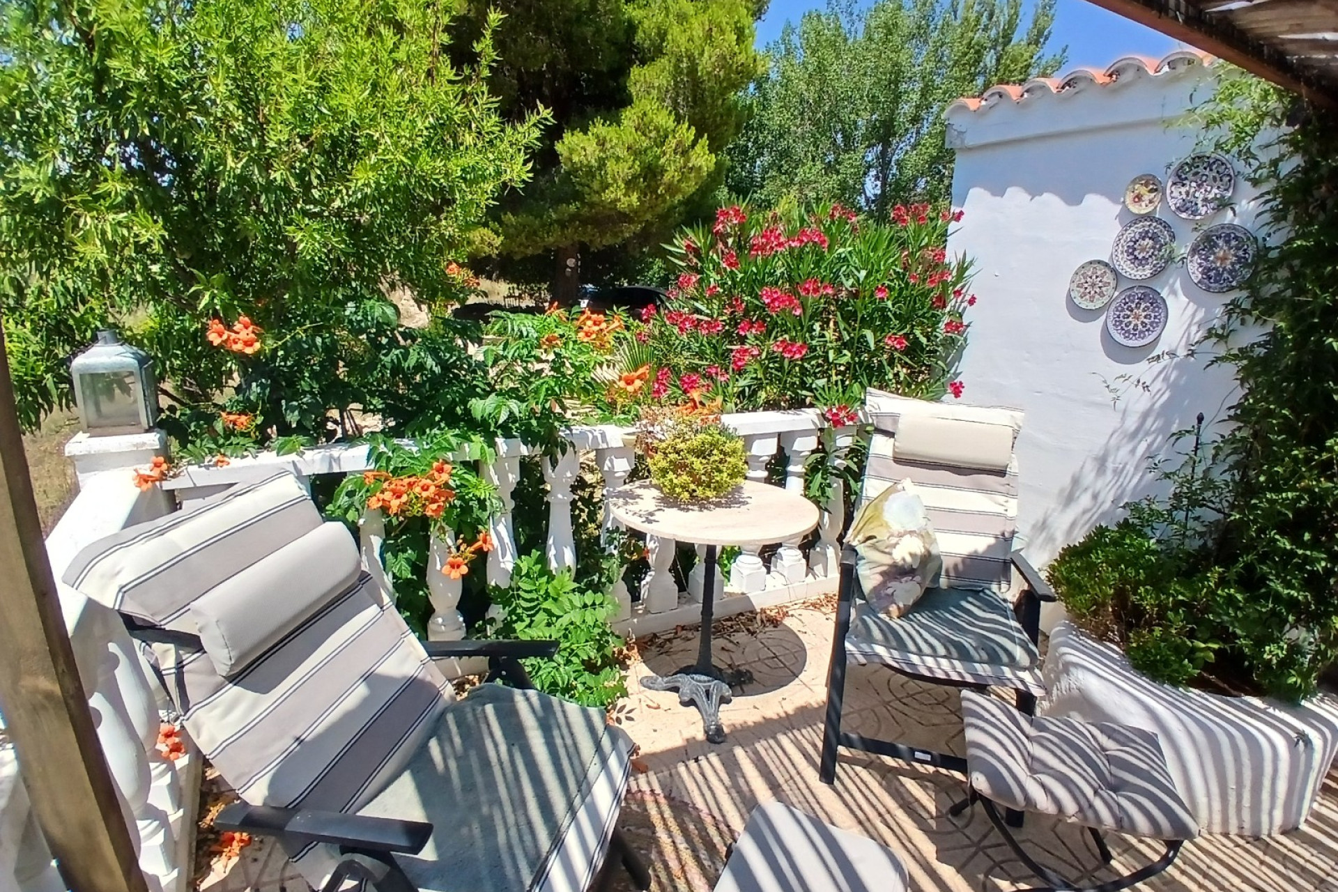 Resale - Finca / Country Property -
Ayora