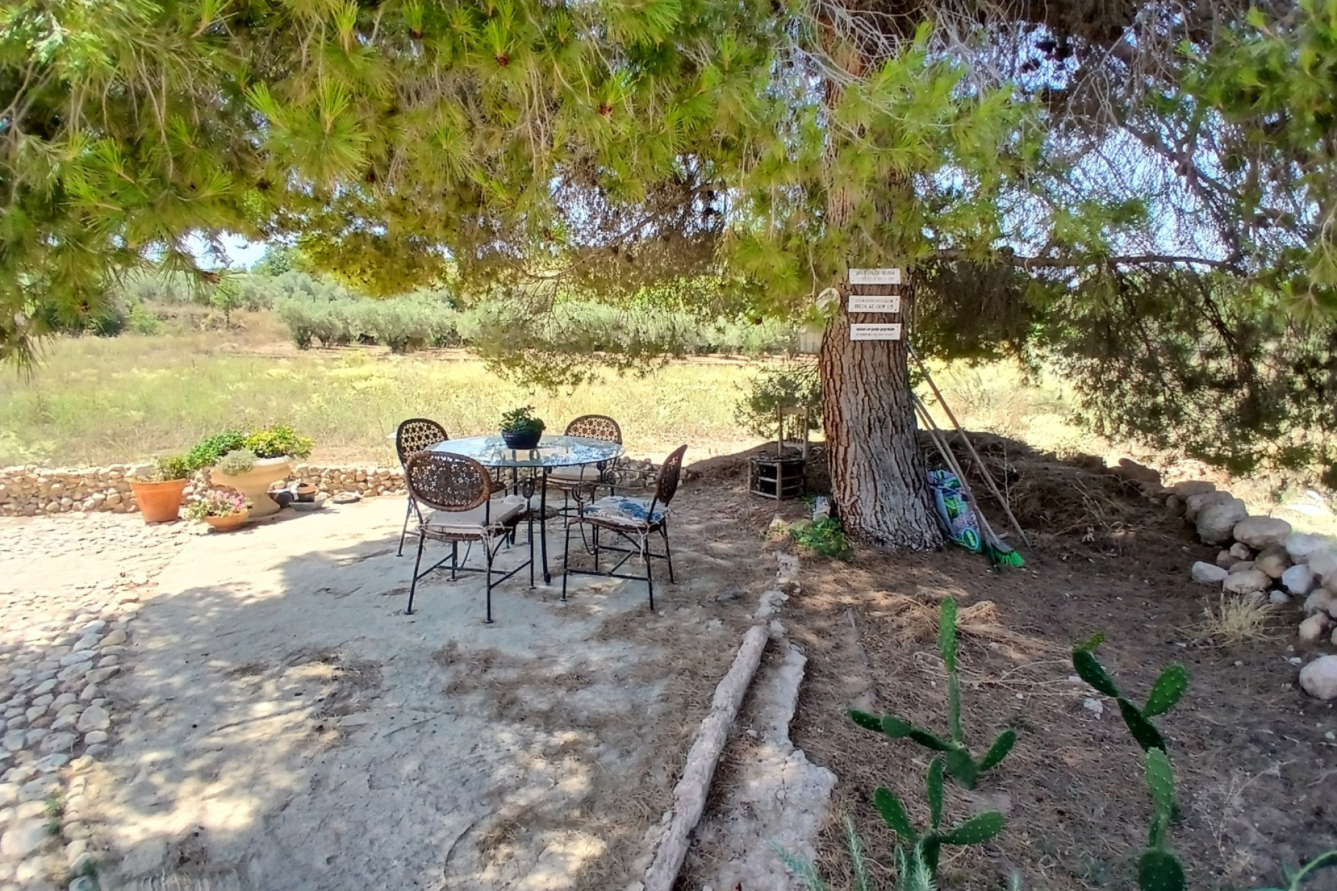 Resale - Finca / Country Property -
Ayora