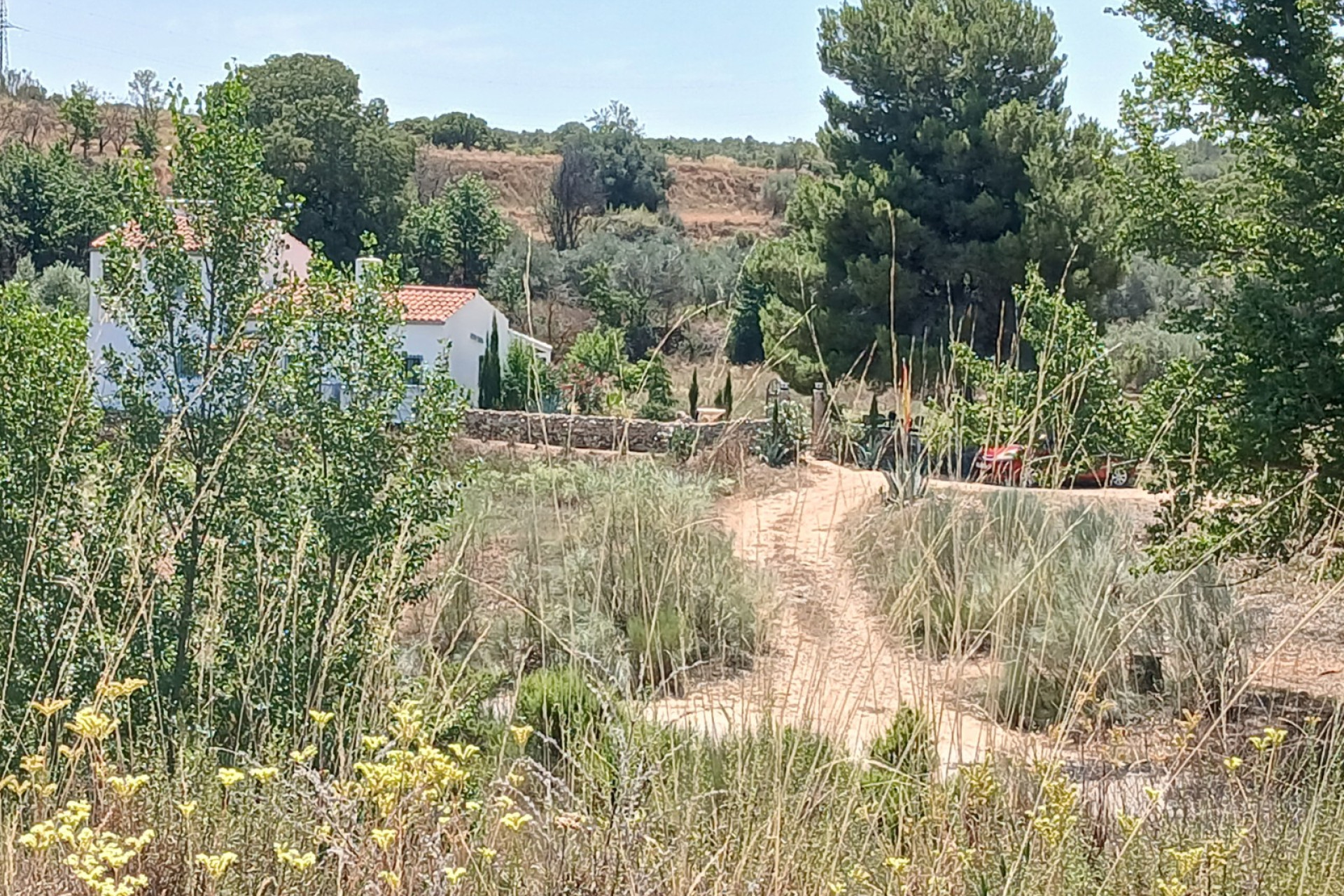 Resale - Finca / Country Property -
Ayora