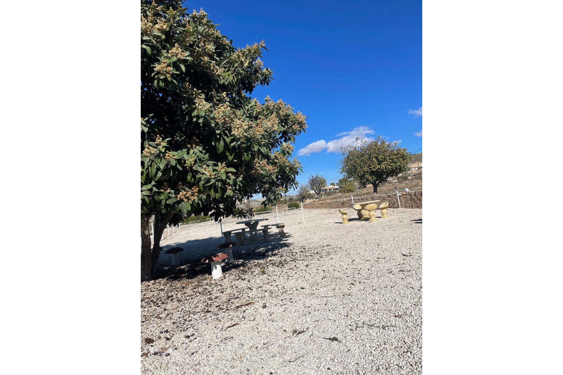 Resale - Finca / Country Property -
Cañada del Trigo - Cañada del Trigo Murcia