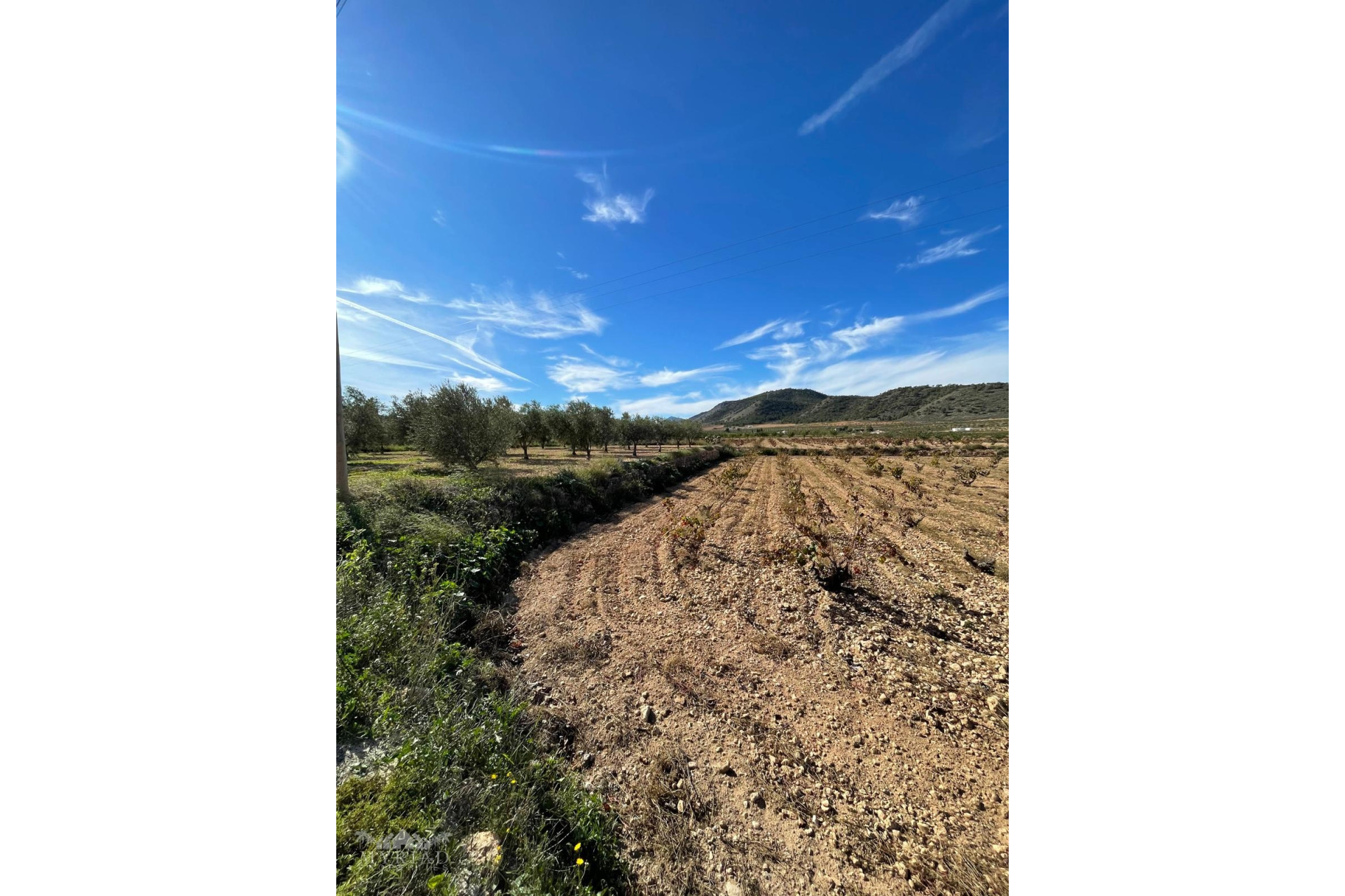 Resale - Finca / Country Property -
Canada De La Lena - Canada de la Lena Murcia